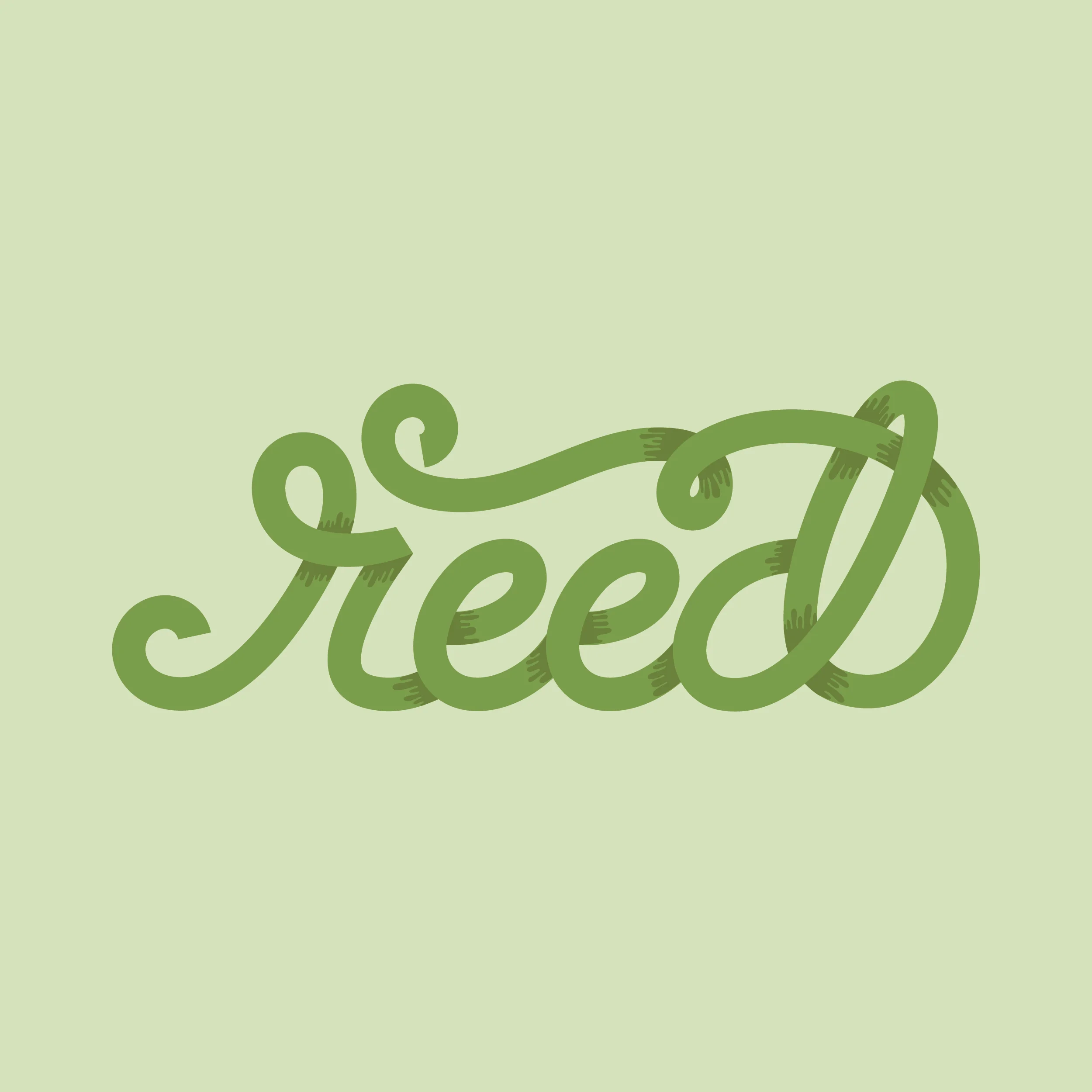 Reed-01.jpg