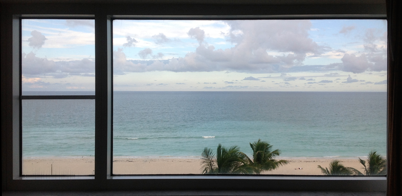 the ocean
