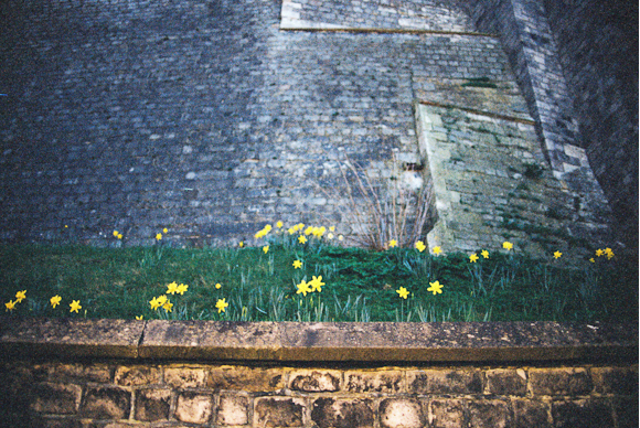 Windsor-020.jpg