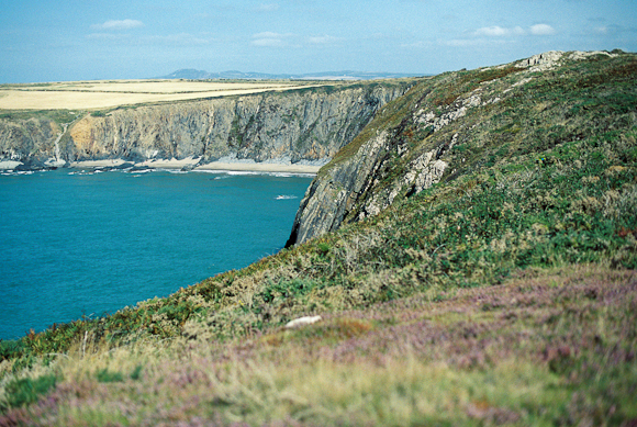 Wales Film Becky Rui Portra Ektar-025.jpg
