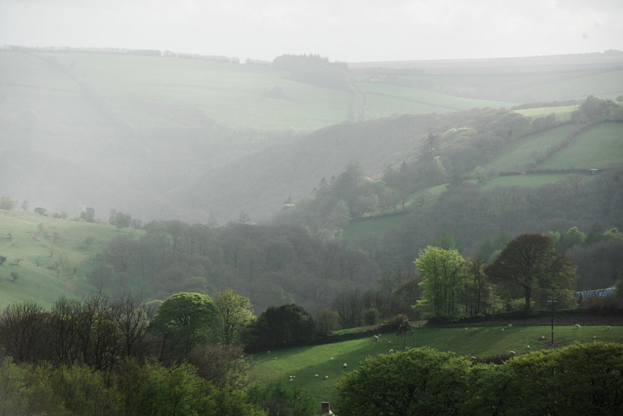 Exmoor Landscape and Nature Photography by Becky Rui