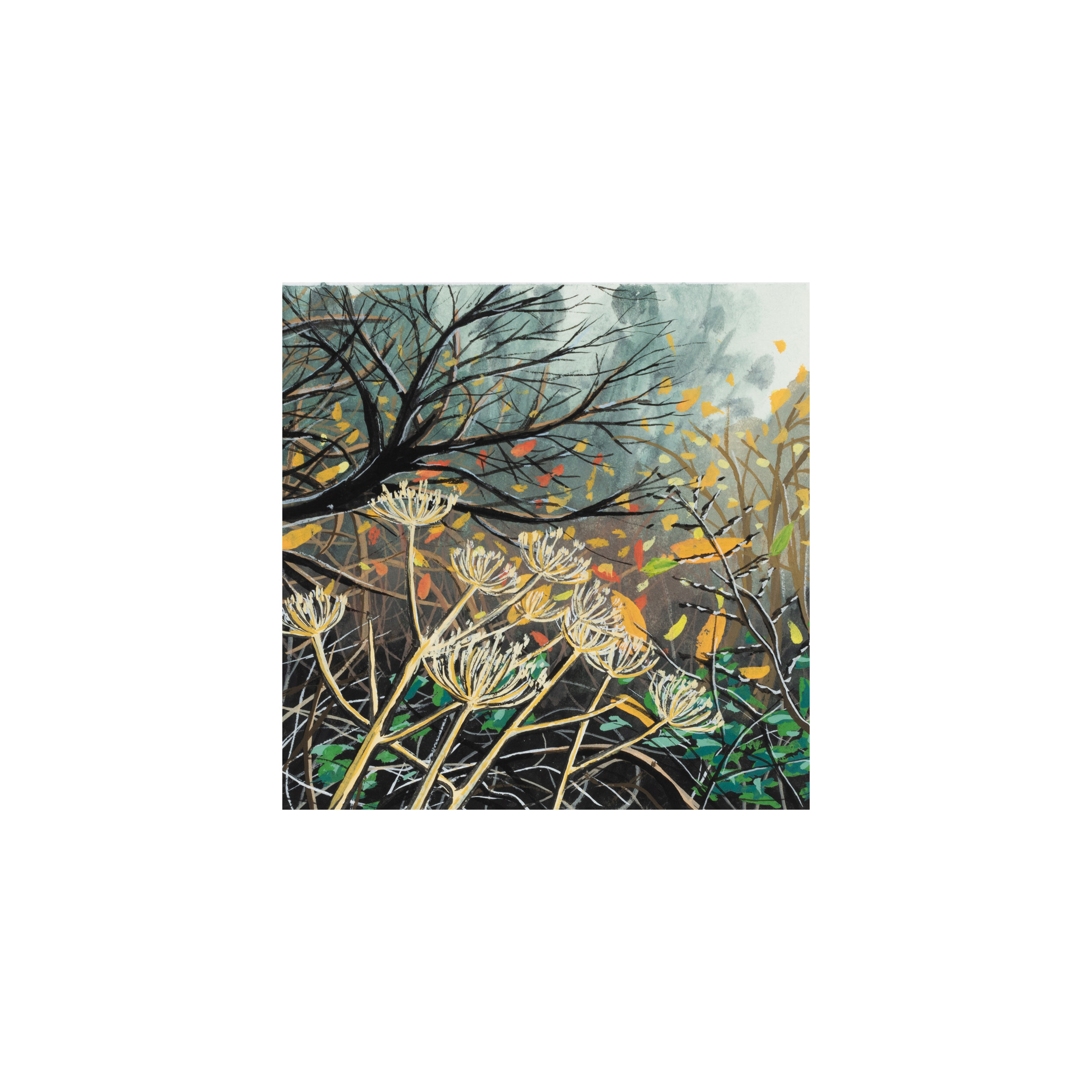 Winter Garden - Giclée Fine Art Print - Goache Painting - Cow Parsley - Teeny Tiny