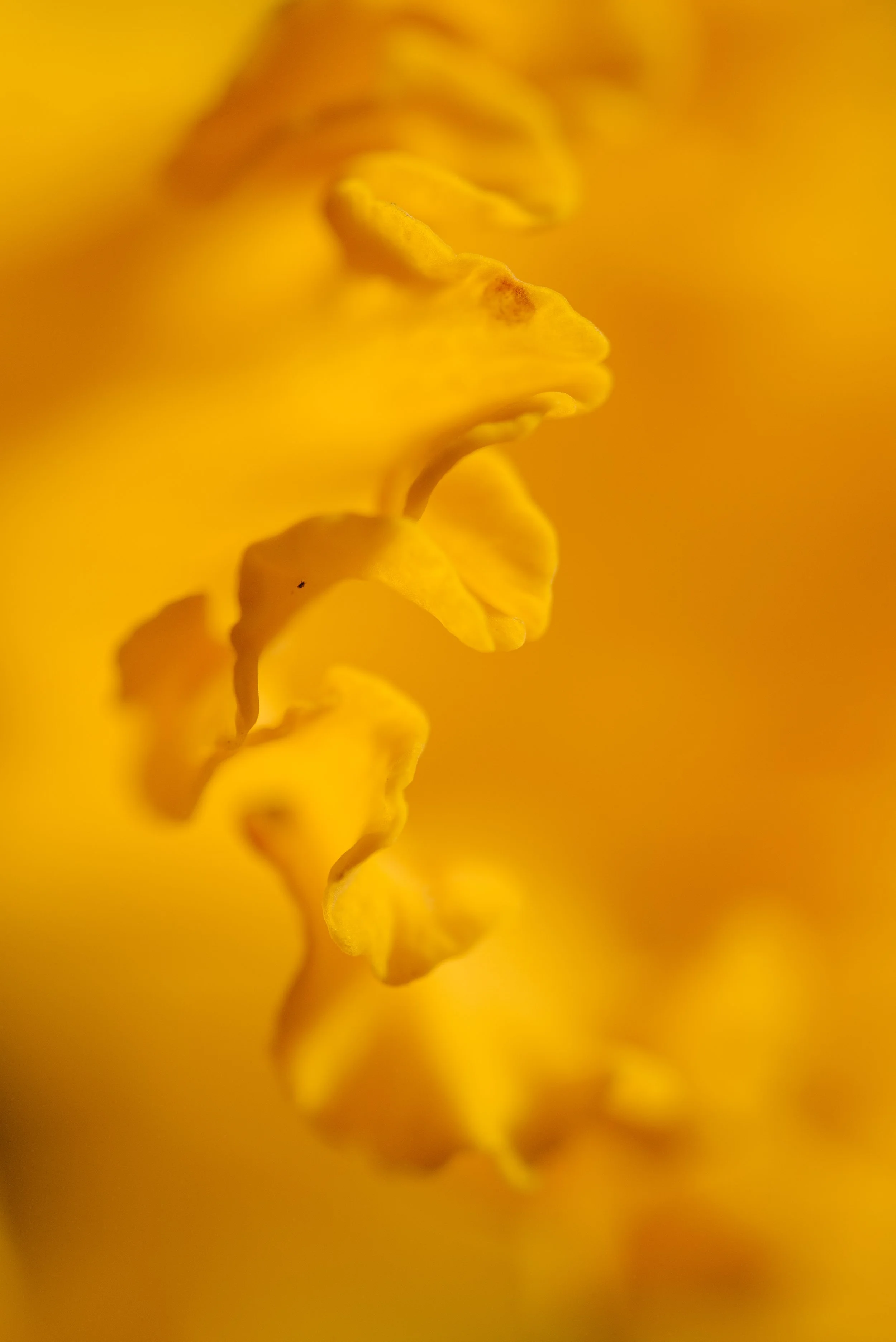 Day 1_001.jpg