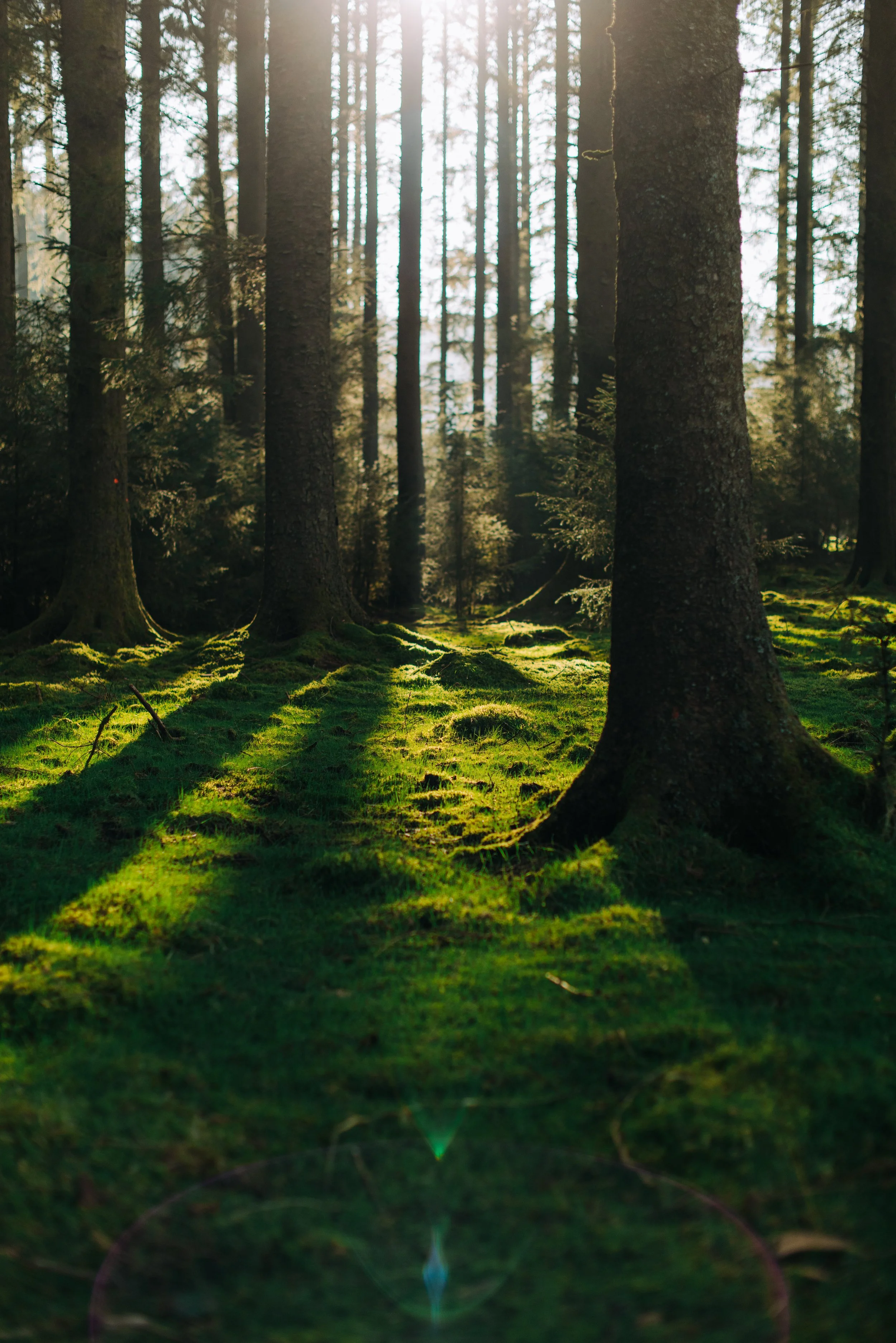 Day 25_001.jpg
