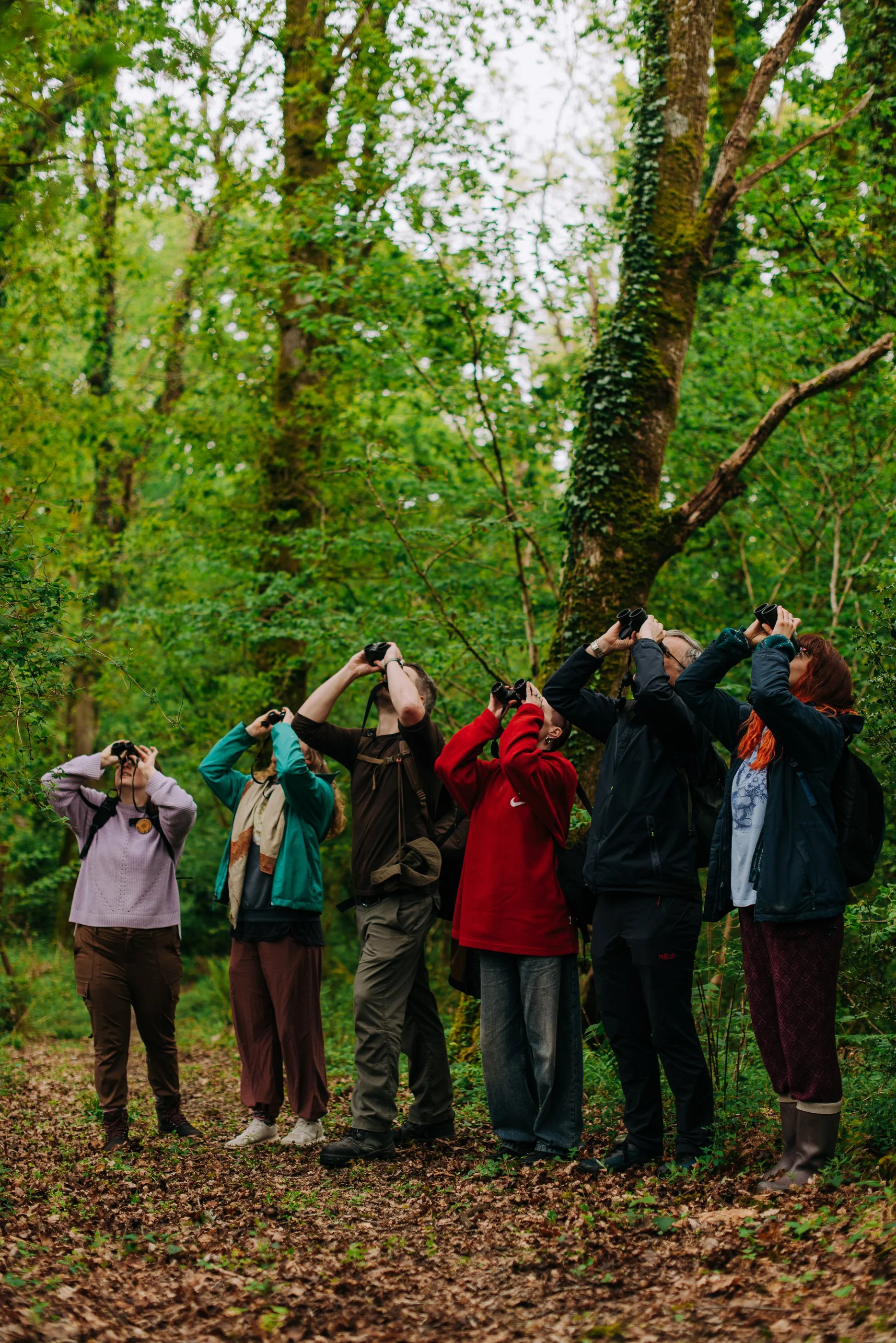 Photography from The Rewilding Training at Embercombe, Devon
