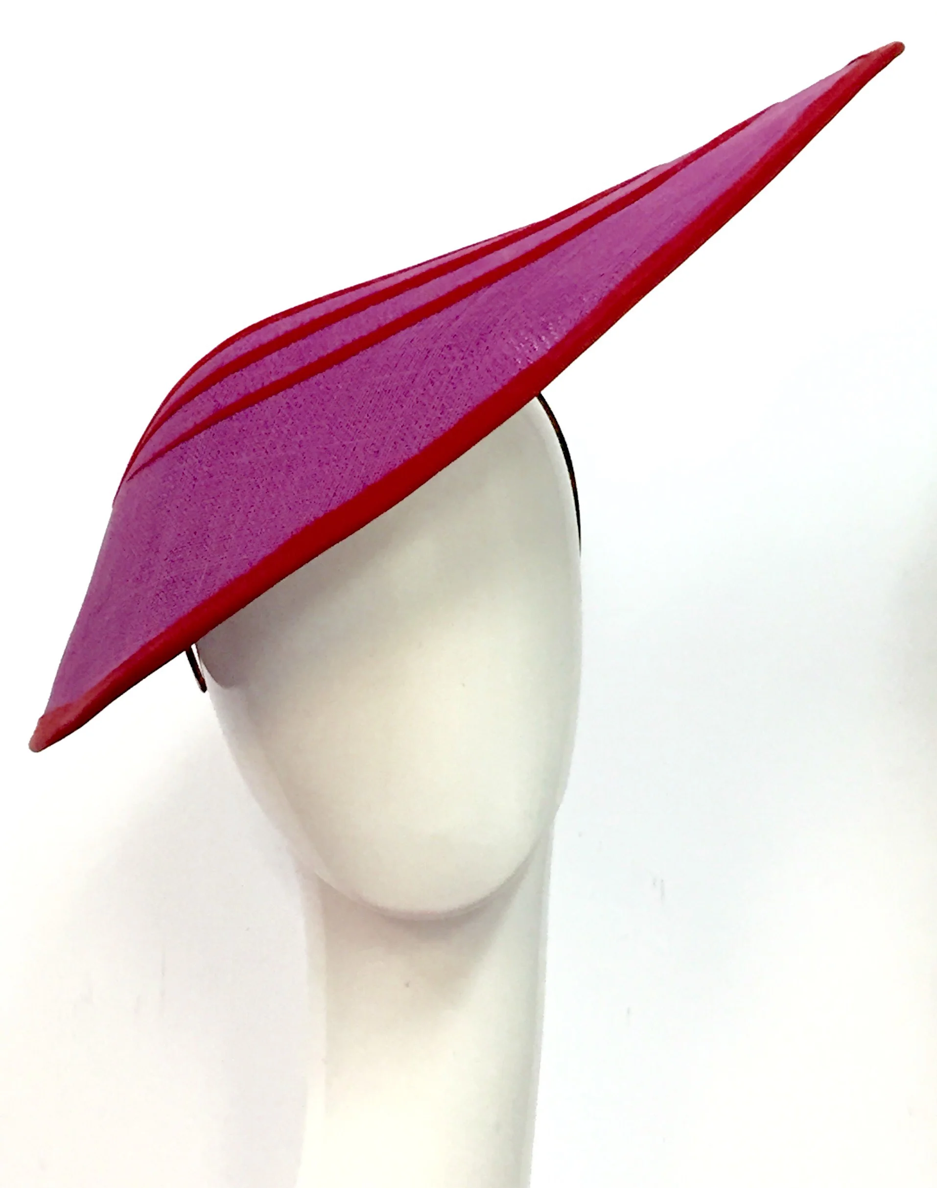 PURPLE LARGE SIDE SLICE 1.jpeg