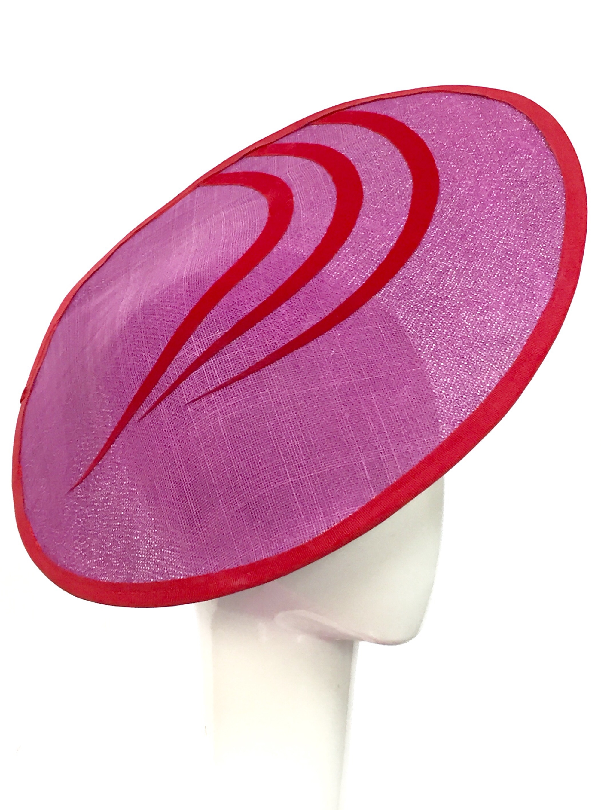 PURPLE LARGE SIDE SLICE.jpeg