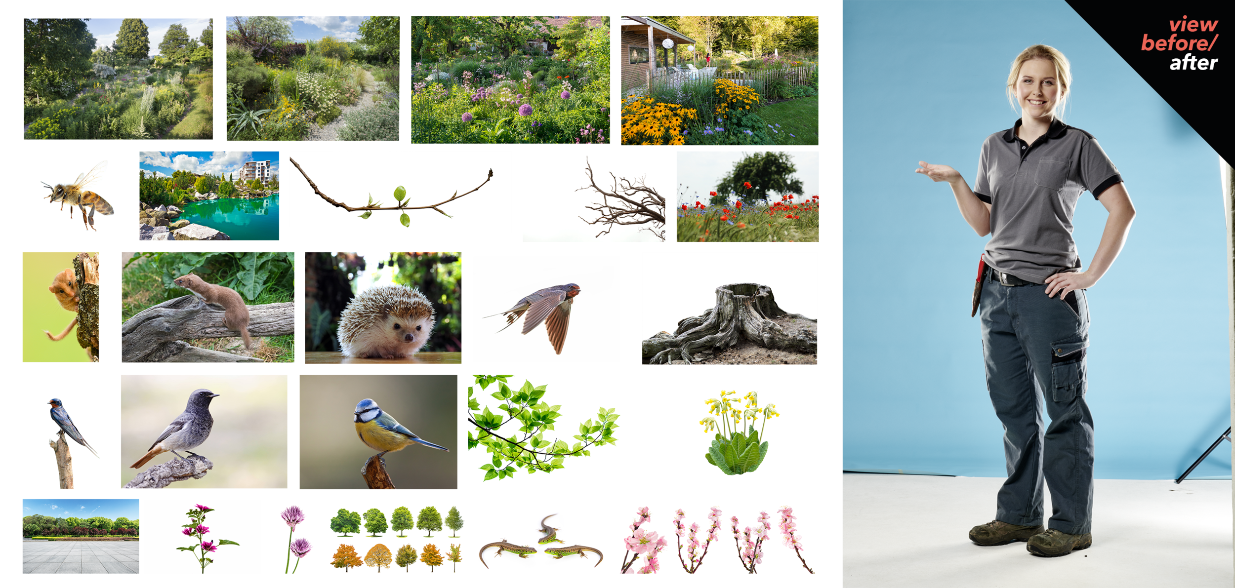 Garden_Retouch_Gärtner_2019.png