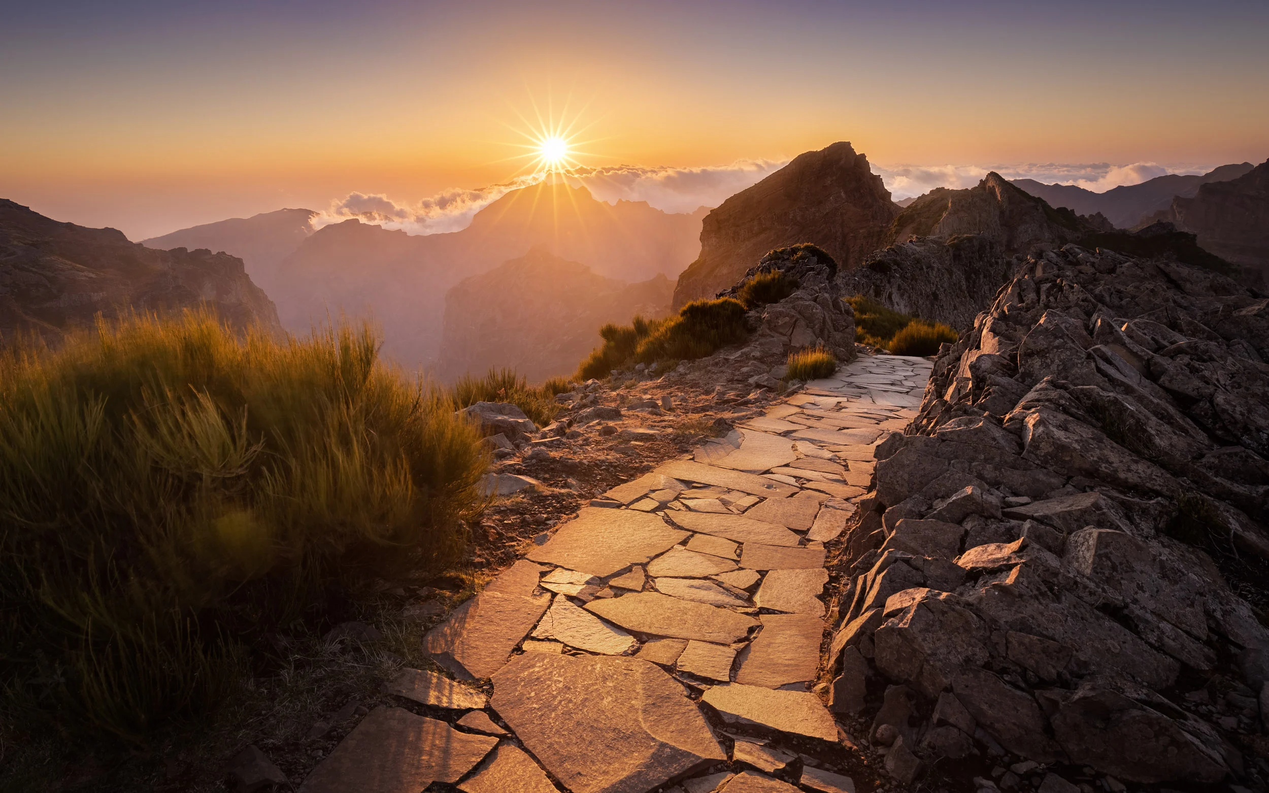 190326_201553_AA5A2496-HDR-Edit.jpg