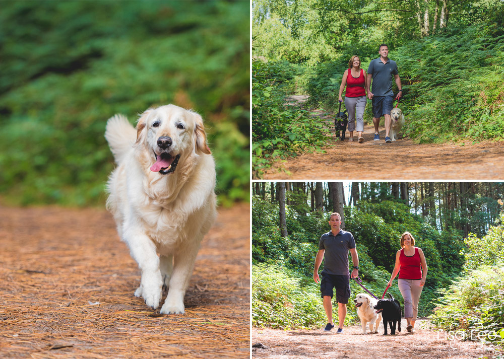 st-catherines-hill-family-shoot-1.jpg