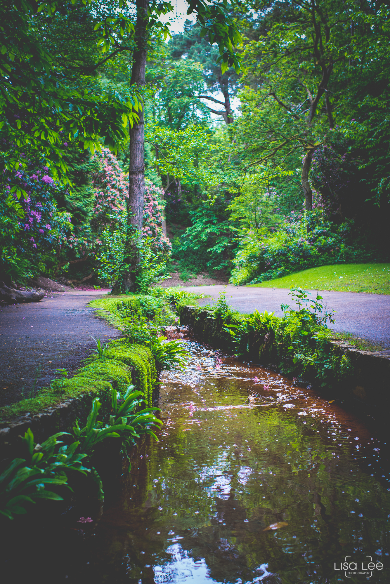 DSC_5972.jpg