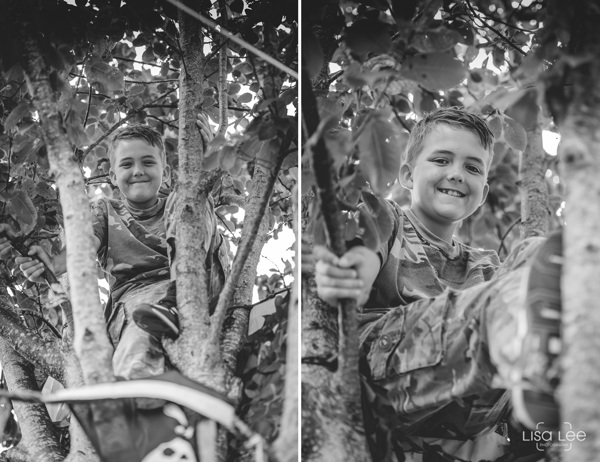 lisa-lee-photography-pateman-family-shoot-climbing-trees.jpg