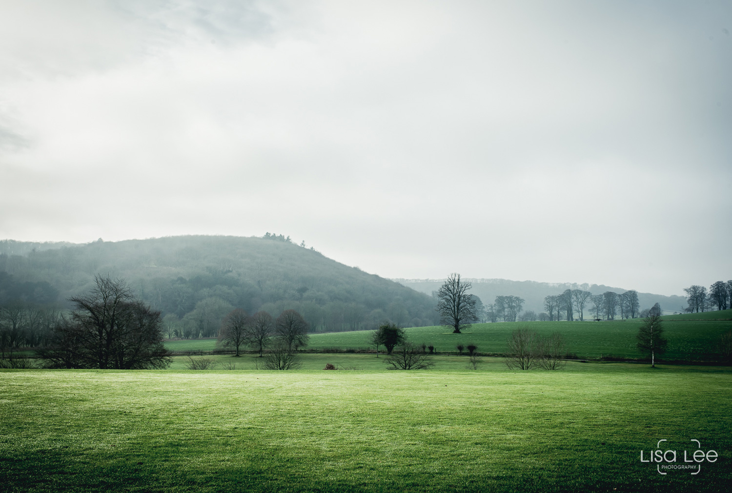 wedding-photography-milton-abbey-landscape.jpg