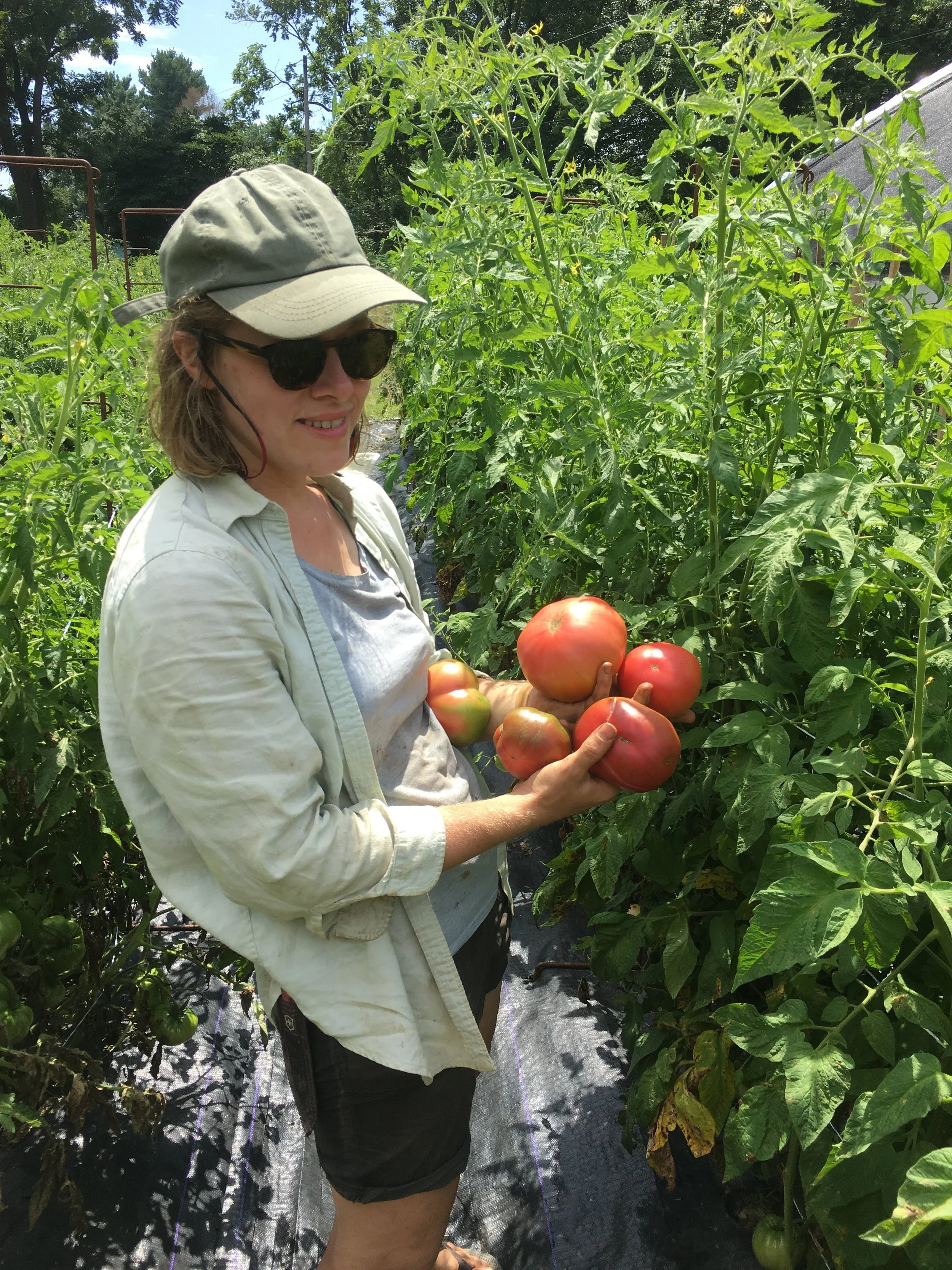 Alison showing off a few of our delicious heirloom tomatoes.