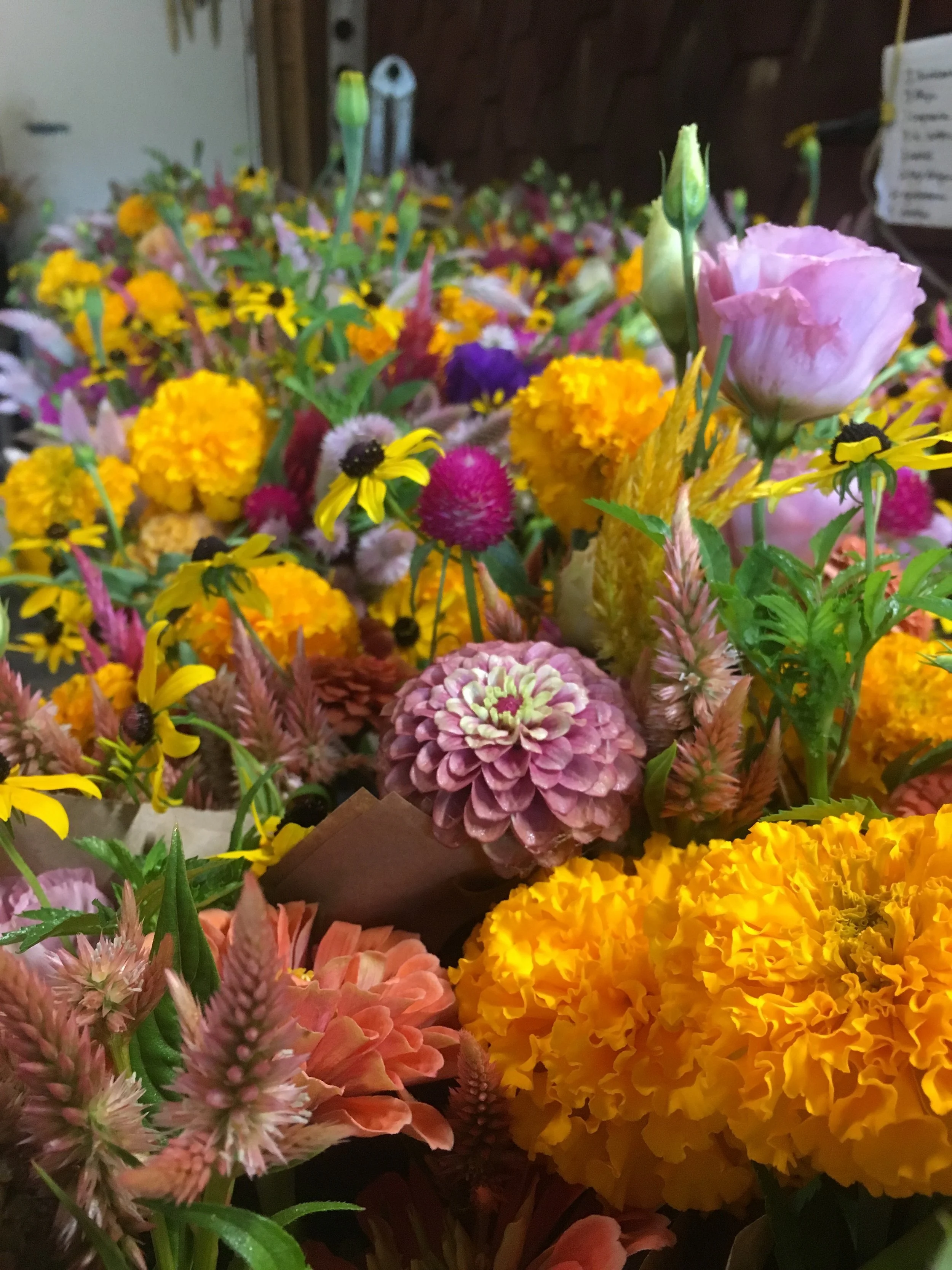 Our market stand is overflowing with abundance these days.