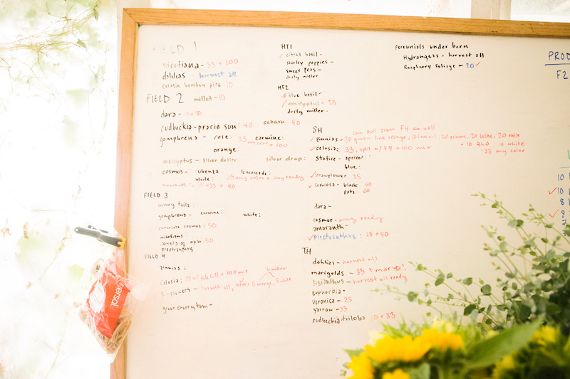 This is how we organize what we will harvest each day in our “Headquarters”, which is really just a tiny shed off the house.