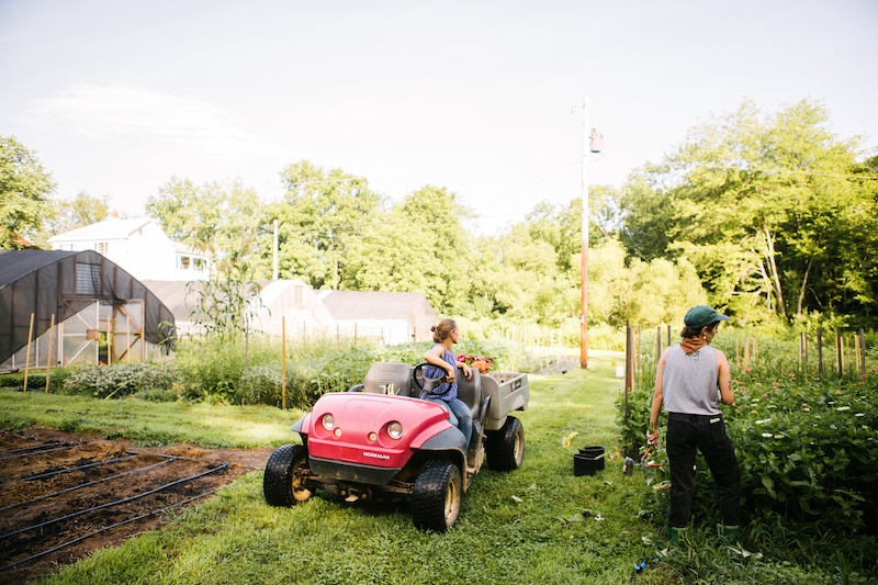 Our trusty Toro gets us and our flowers around fast!