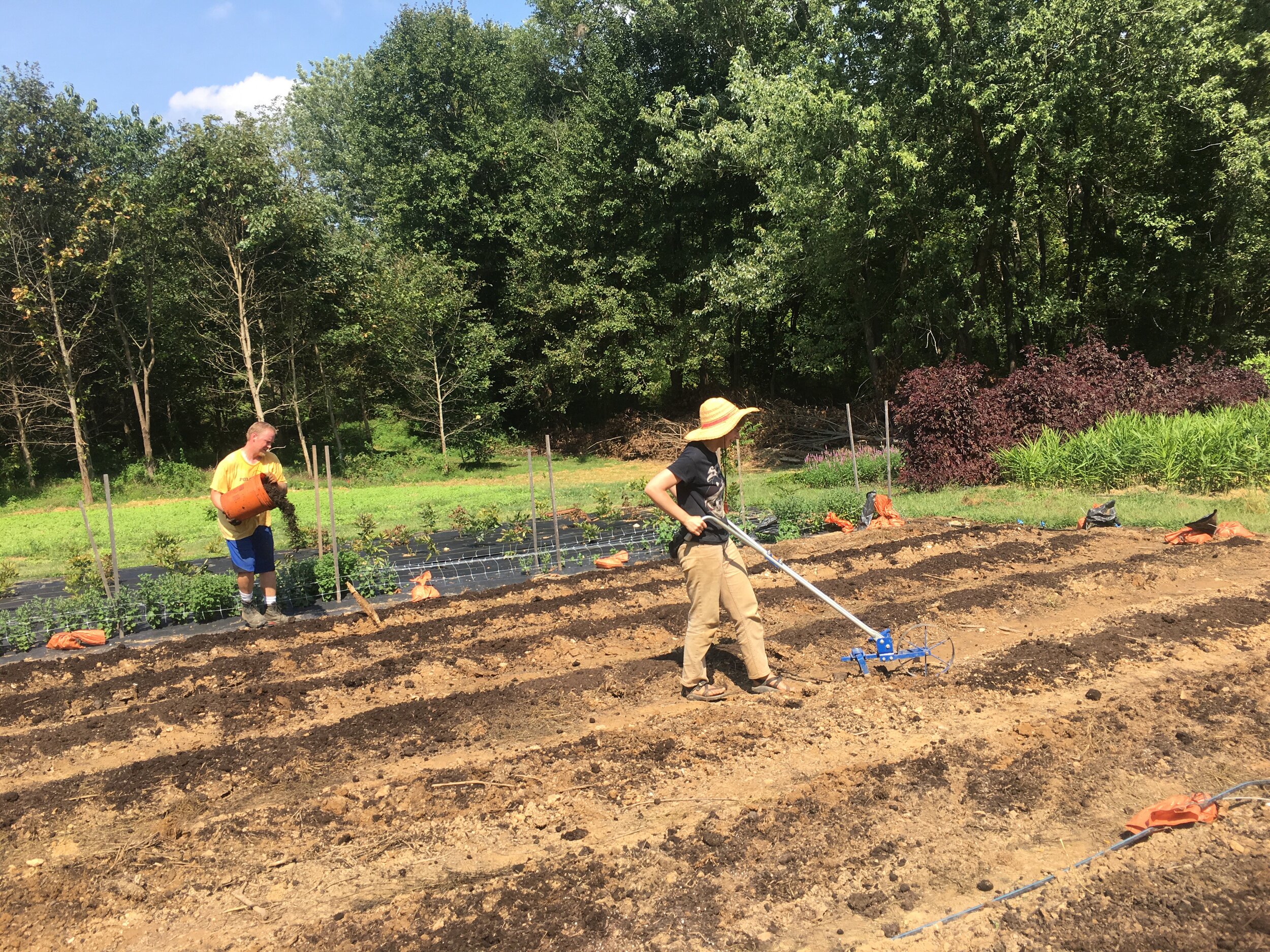 Amelia P. and Dave, prepping beds last week for our overwintered flowers.