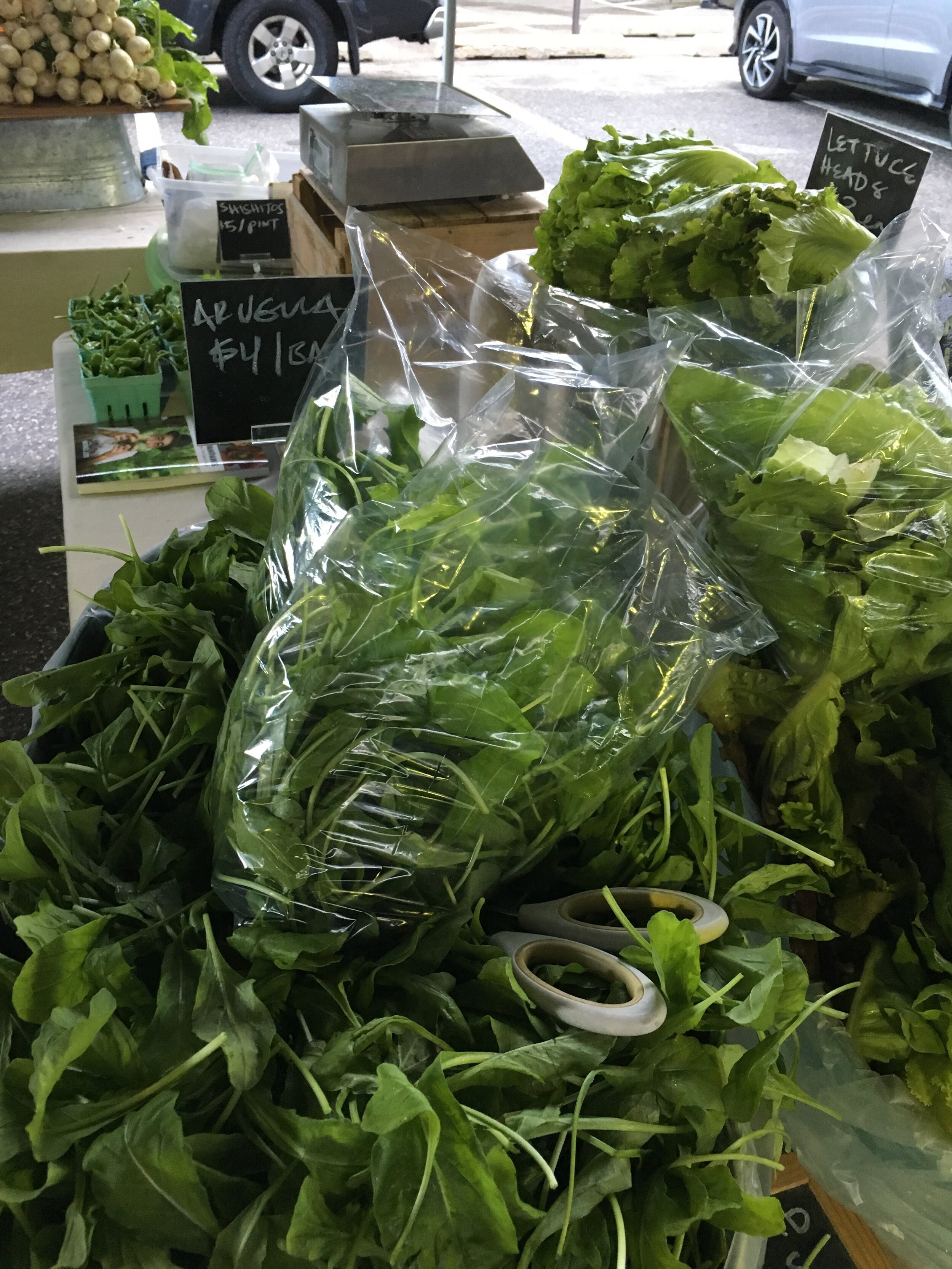 We’ve got gorgeous arugula right now- don’t forget to pick some up this weekend!