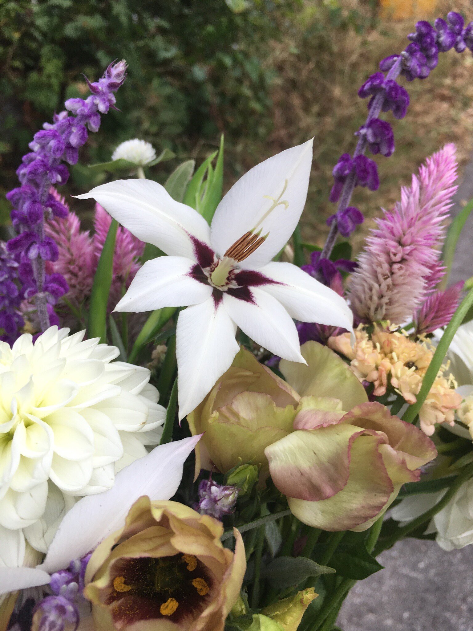 Don’t forget to build yourself one last bouquet at the market before the flowers are gone for the season!