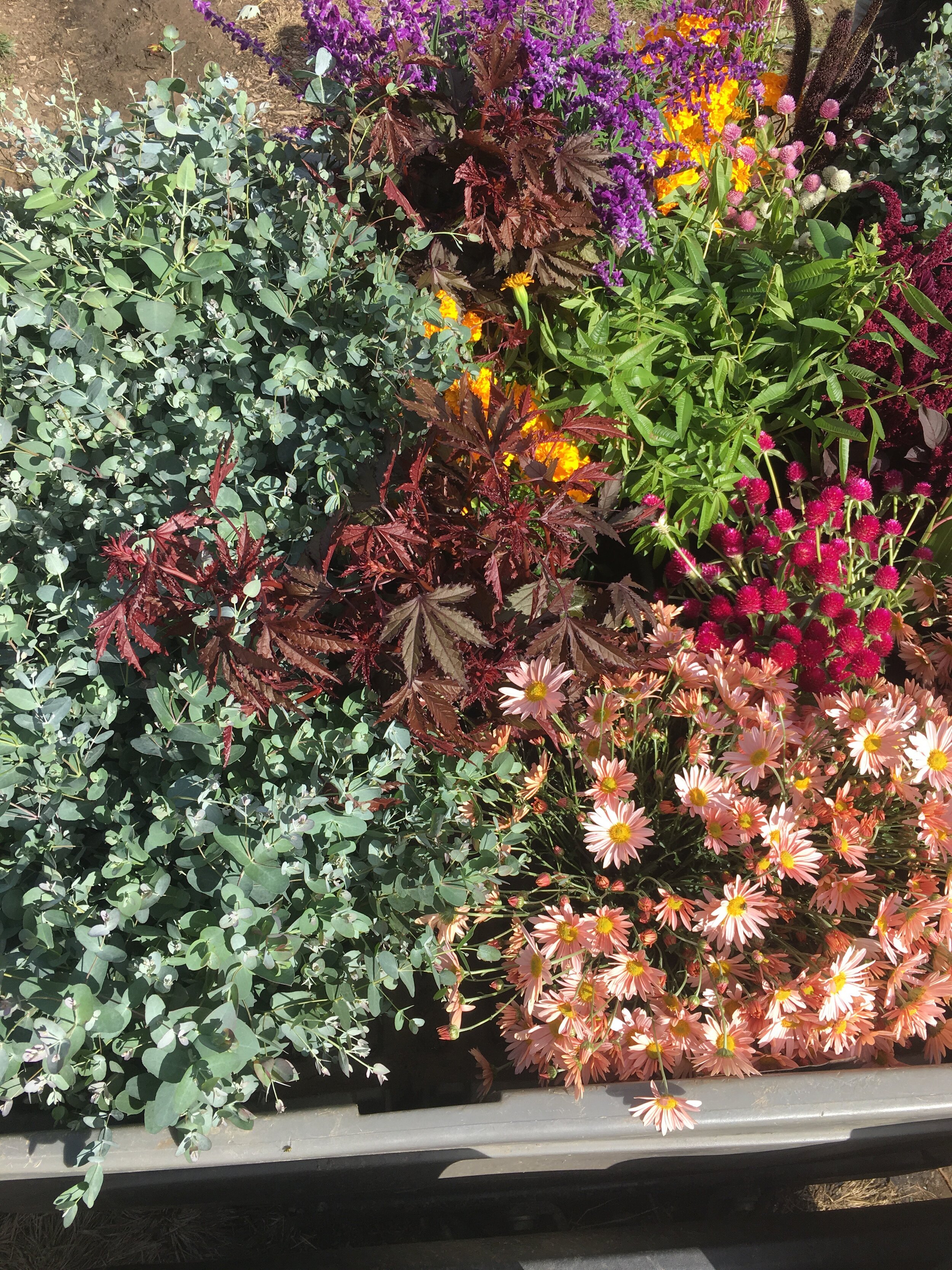 Don’t forget to build yourself one last bouquet at the market before the flowers are gone for the season!