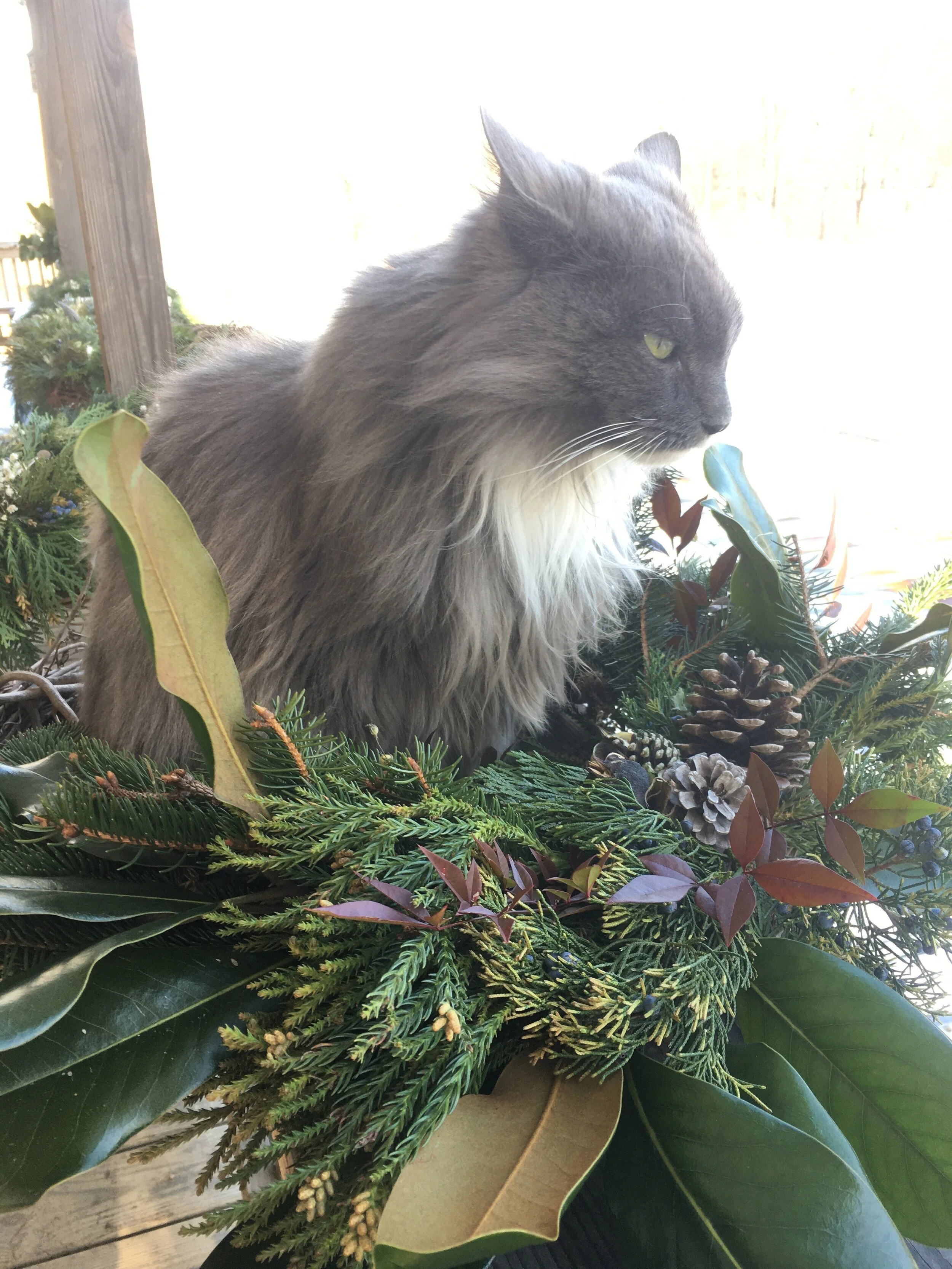 Grey wants to thank our loyal customers and friends for a phenomenal season.