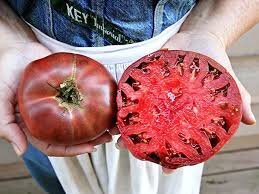 cherokee purple tomato.jpeg