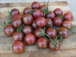 black cherry tomato.jpeg
