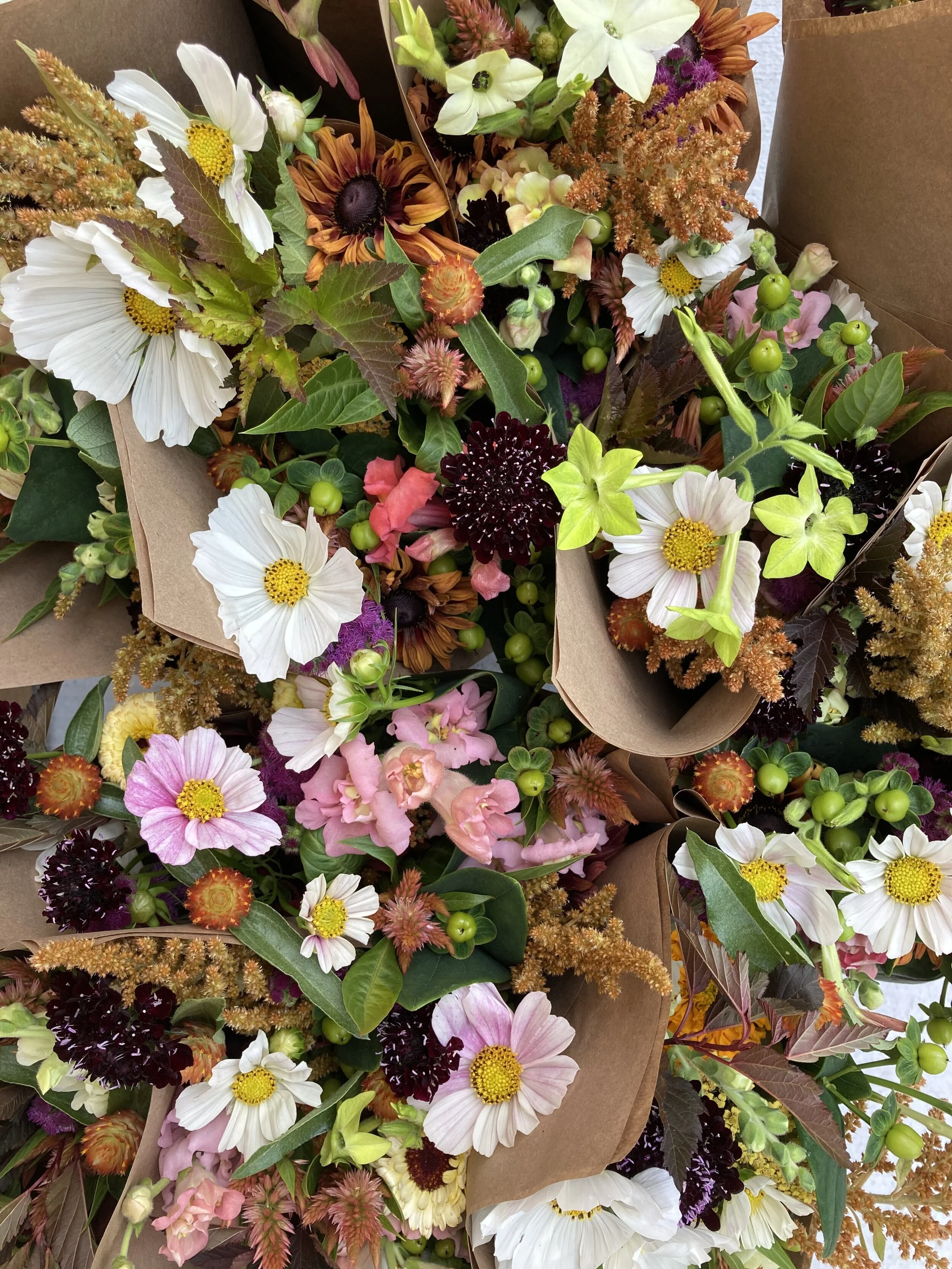 We’ll have lots of summer bouquets coming your way at market this week!