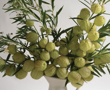 Screen Shot 2022-04-01 at 3.58.44 PM.png