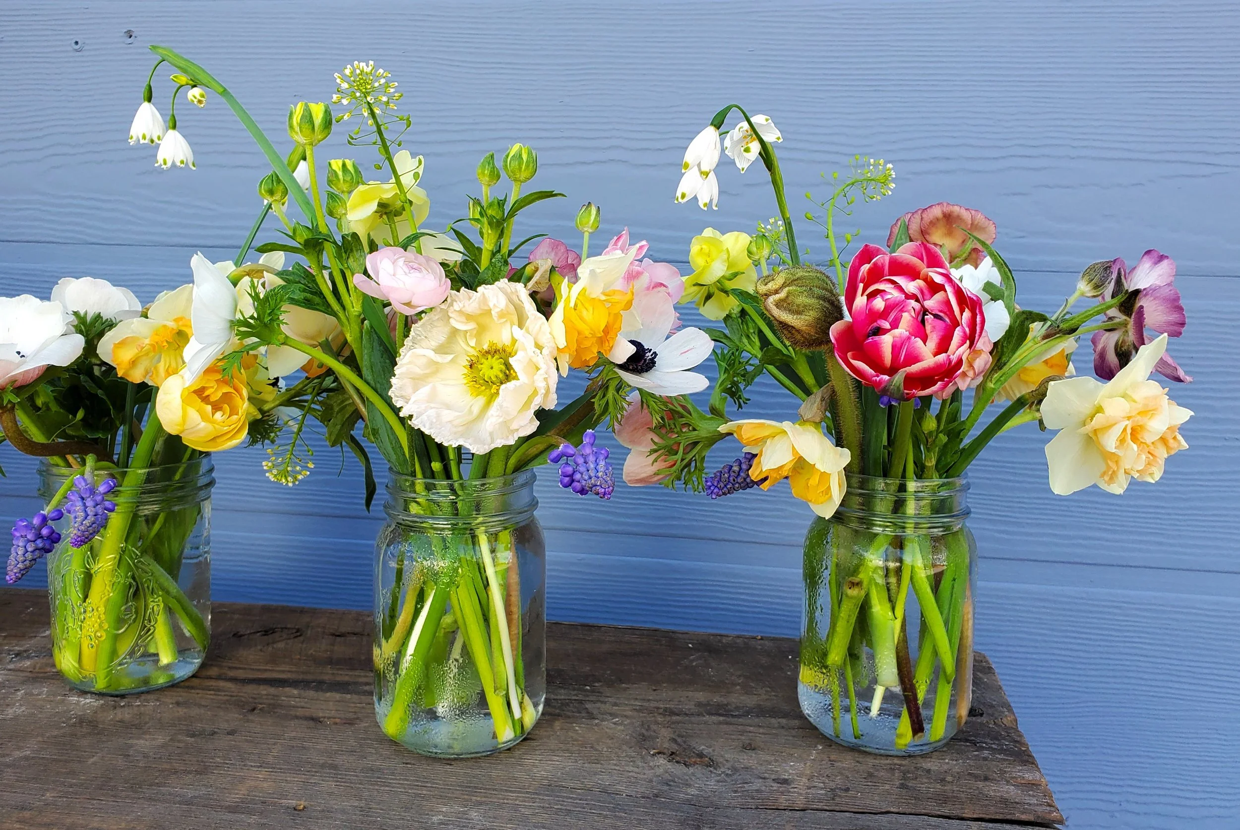 Arrangement_ mason jar 2.jpg