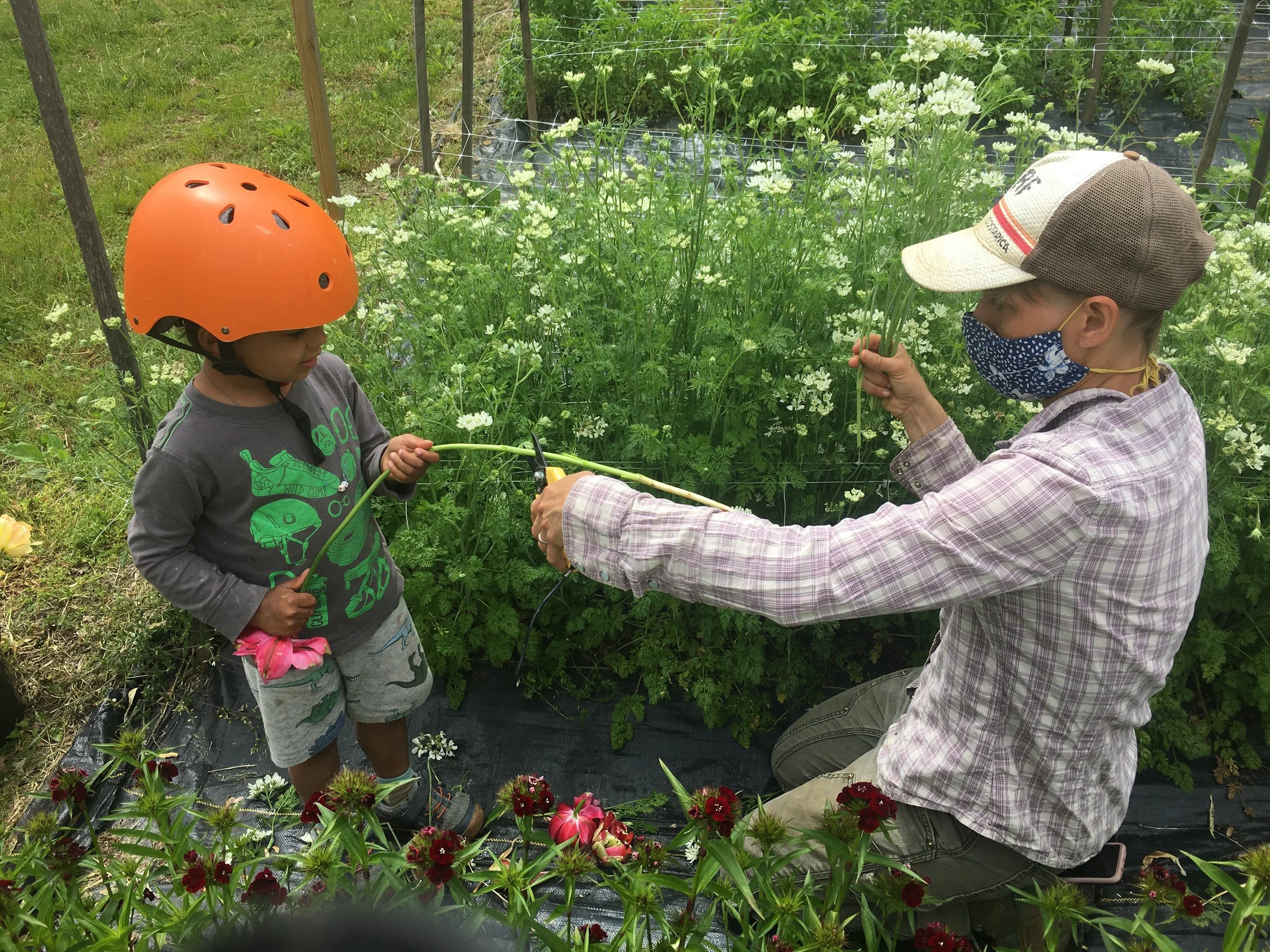 Finn was around to help us a lot in 2020