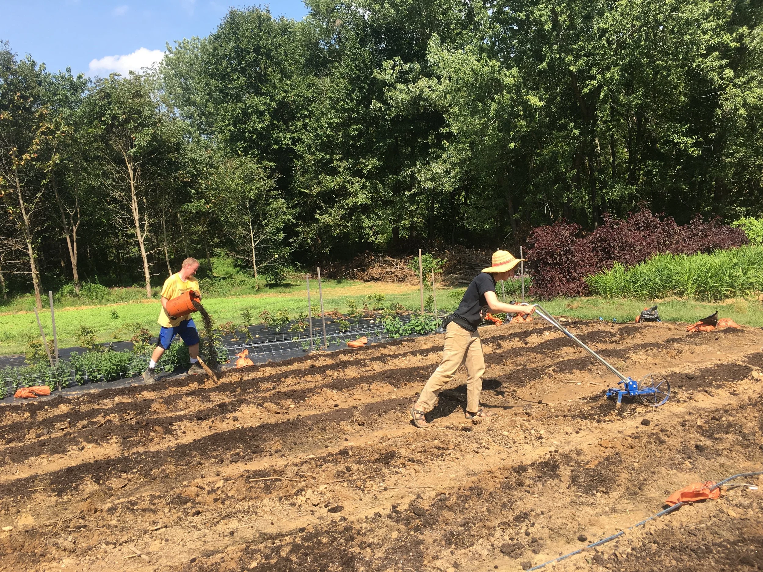 2019 is when Dave started helping on the farm. Here he and Amelia P. are prepping beds