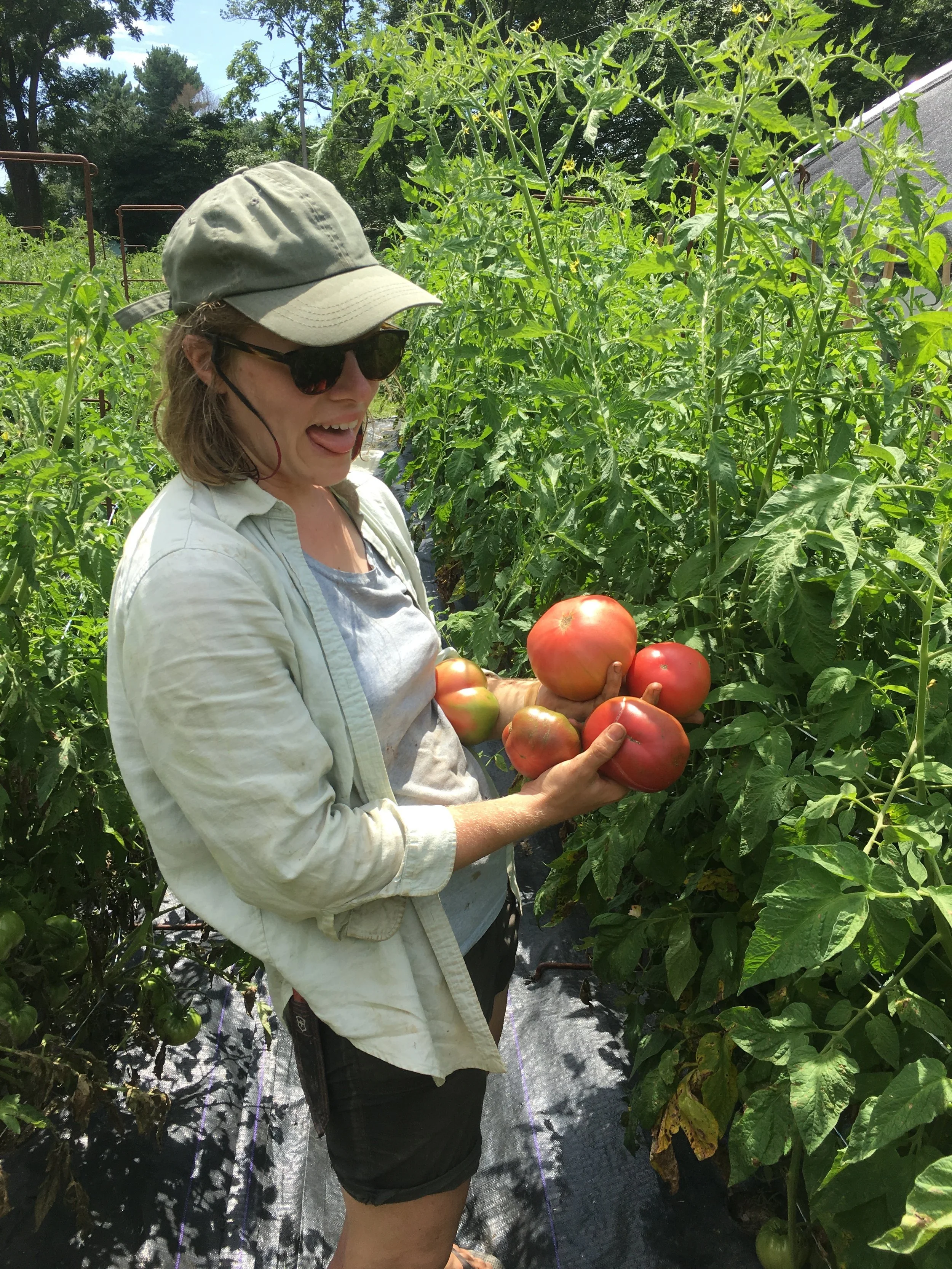 My dear friend Alison and some choice tomatoes, 2019
