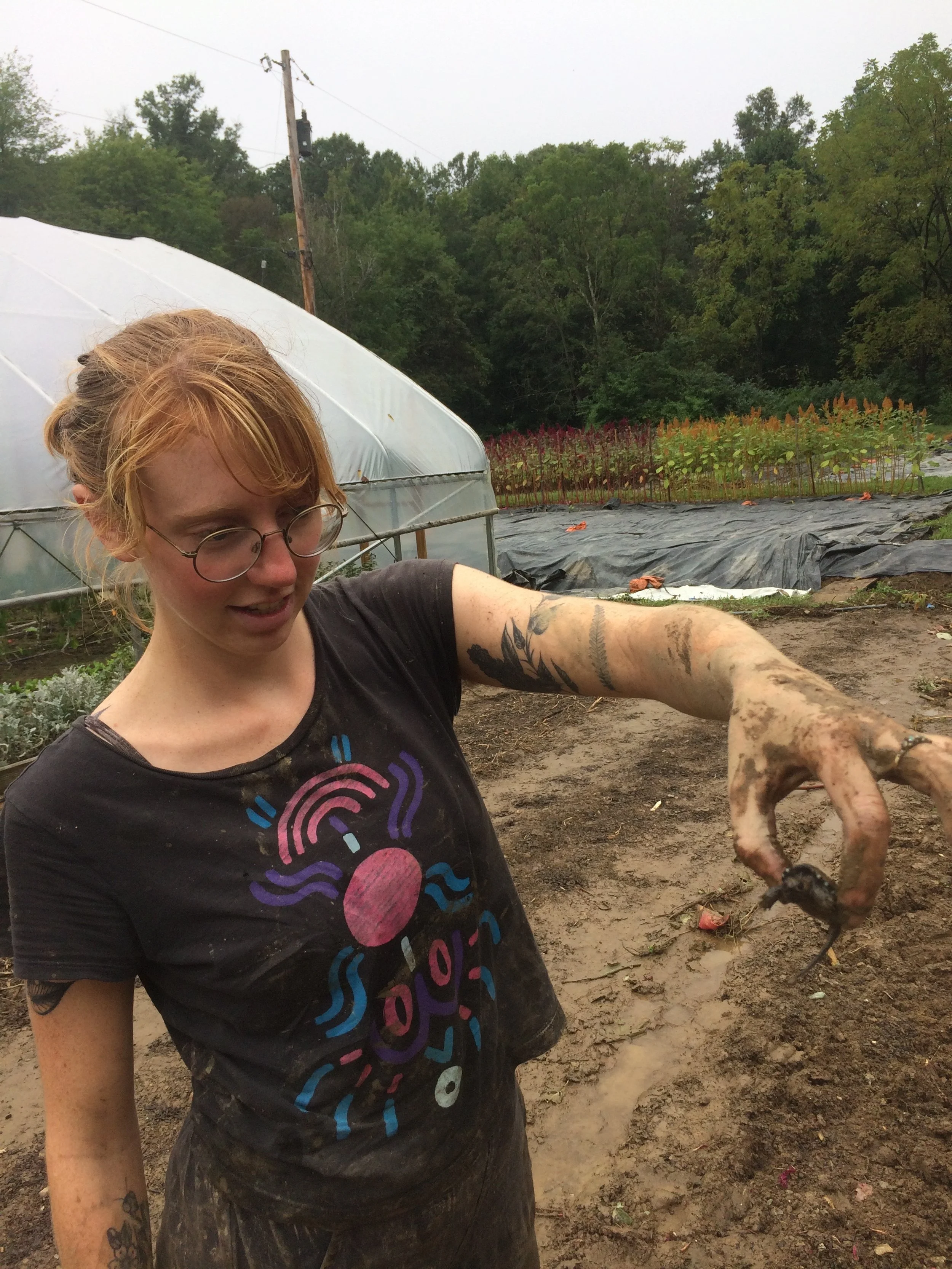 The flood year! Meg shows off a baby snapping turtle