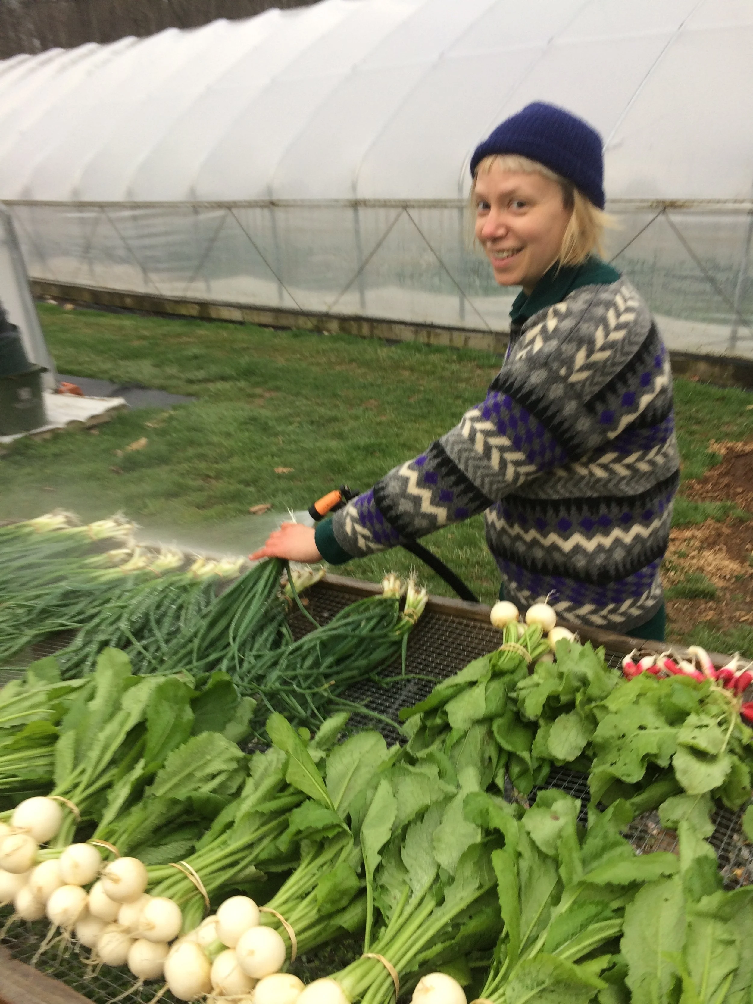 Amelia P. washing turnips, 2018