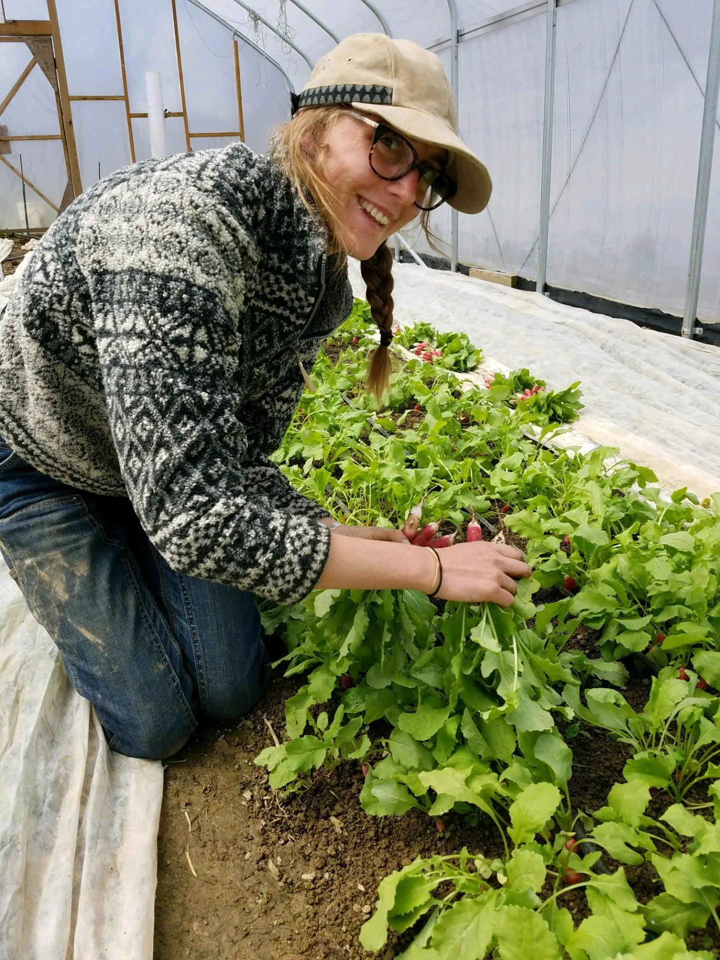 Early season harvest, 2018