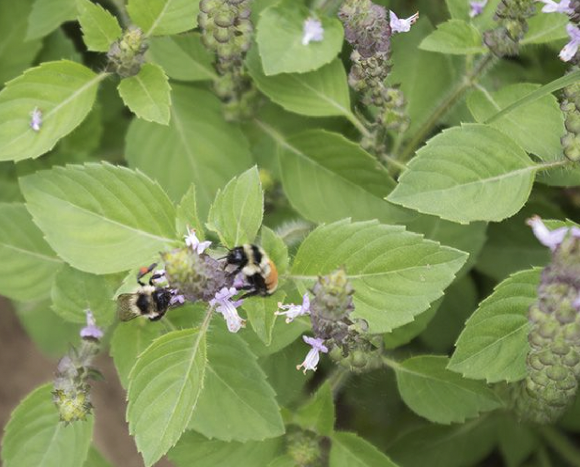 Screen Shot 2026-03-03 at 11.48.43 AM.png