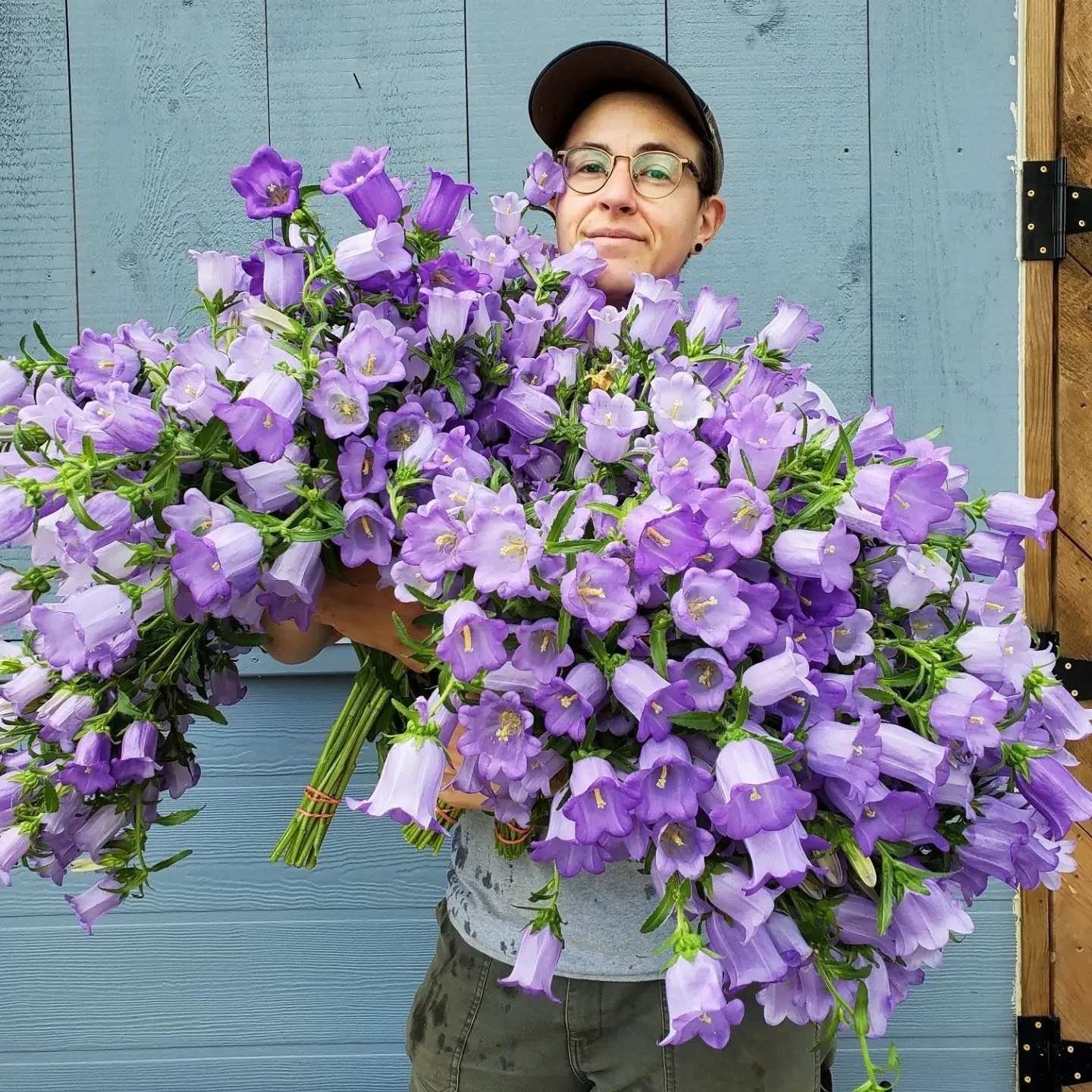 Jenna, a white nonbinary person wearing round glasses, a grey shirt, and olive green pants, is standing in front of a light blue barn holding a massive armload of lavender campanula.