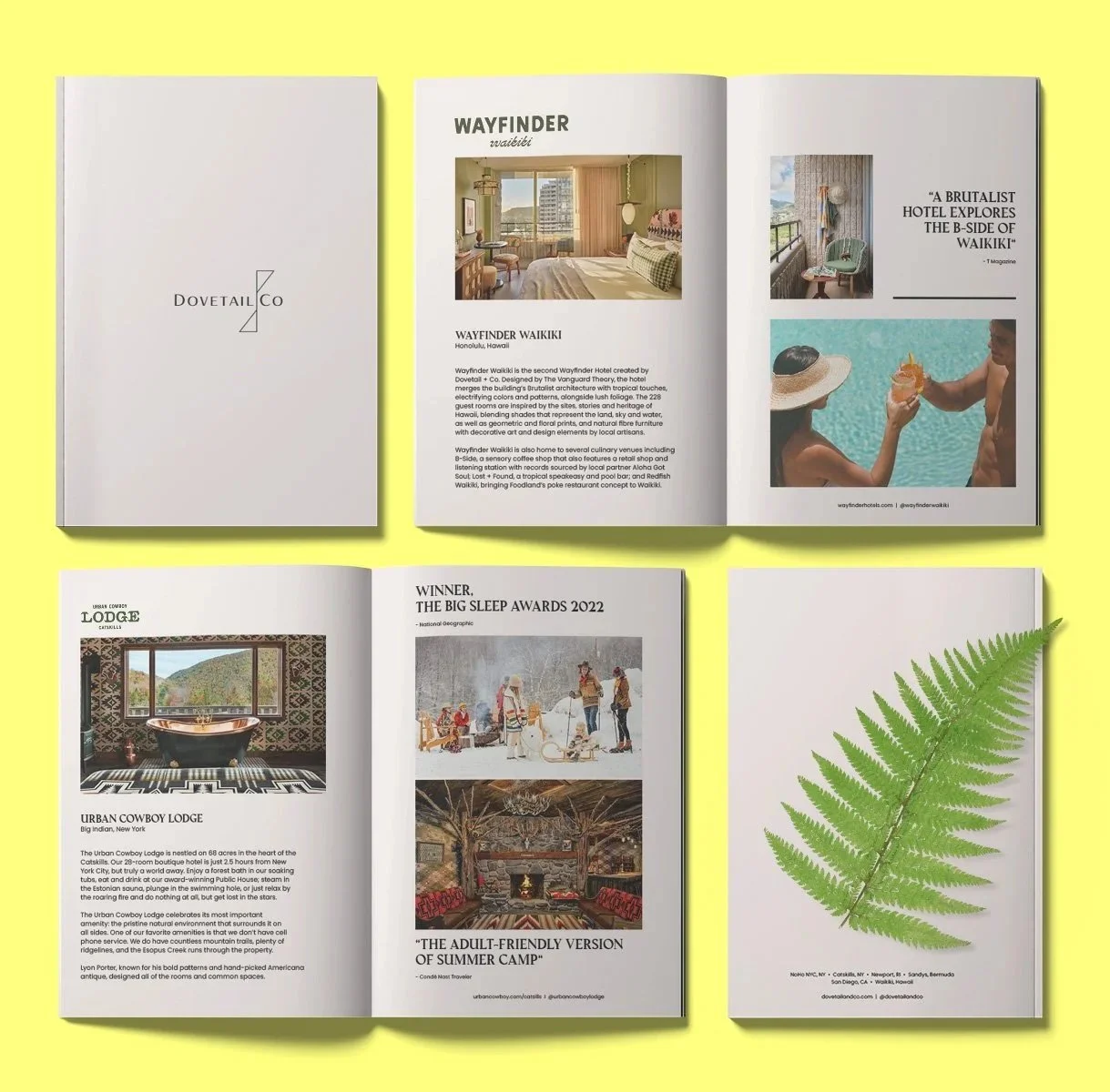 Layout Design : Dovetail + Co