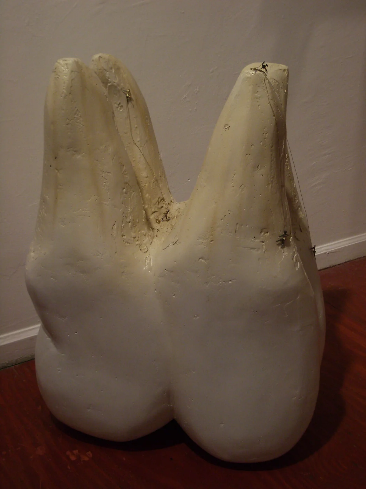 IMGP0832.JPG