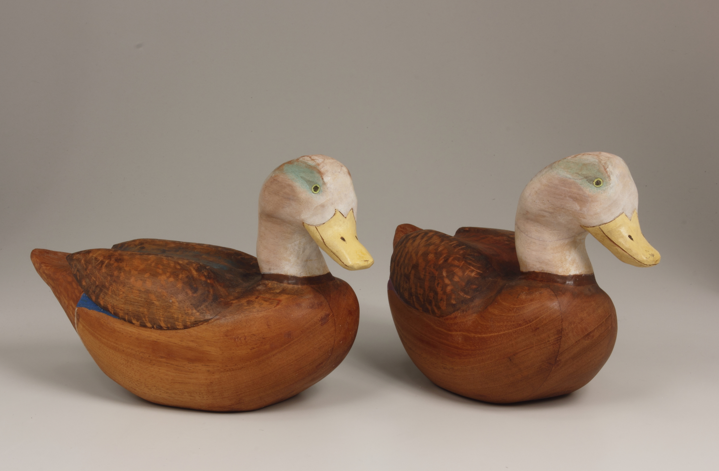 Ducks-right.JPG