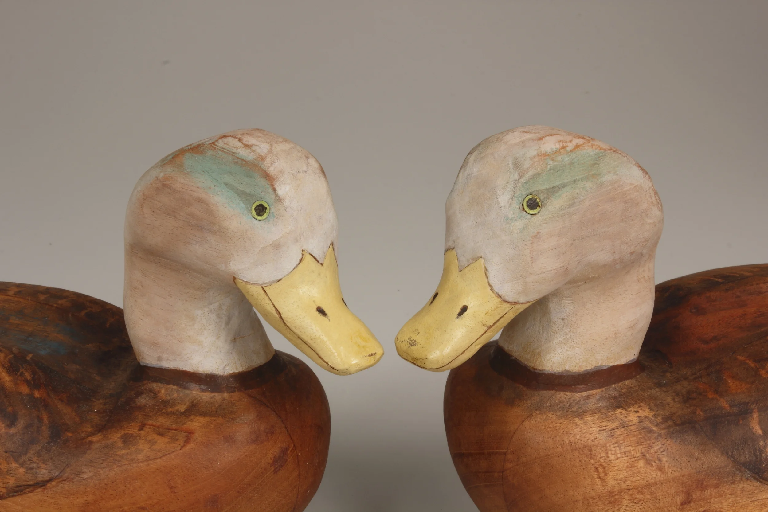 Ducks-happy close up.JPG