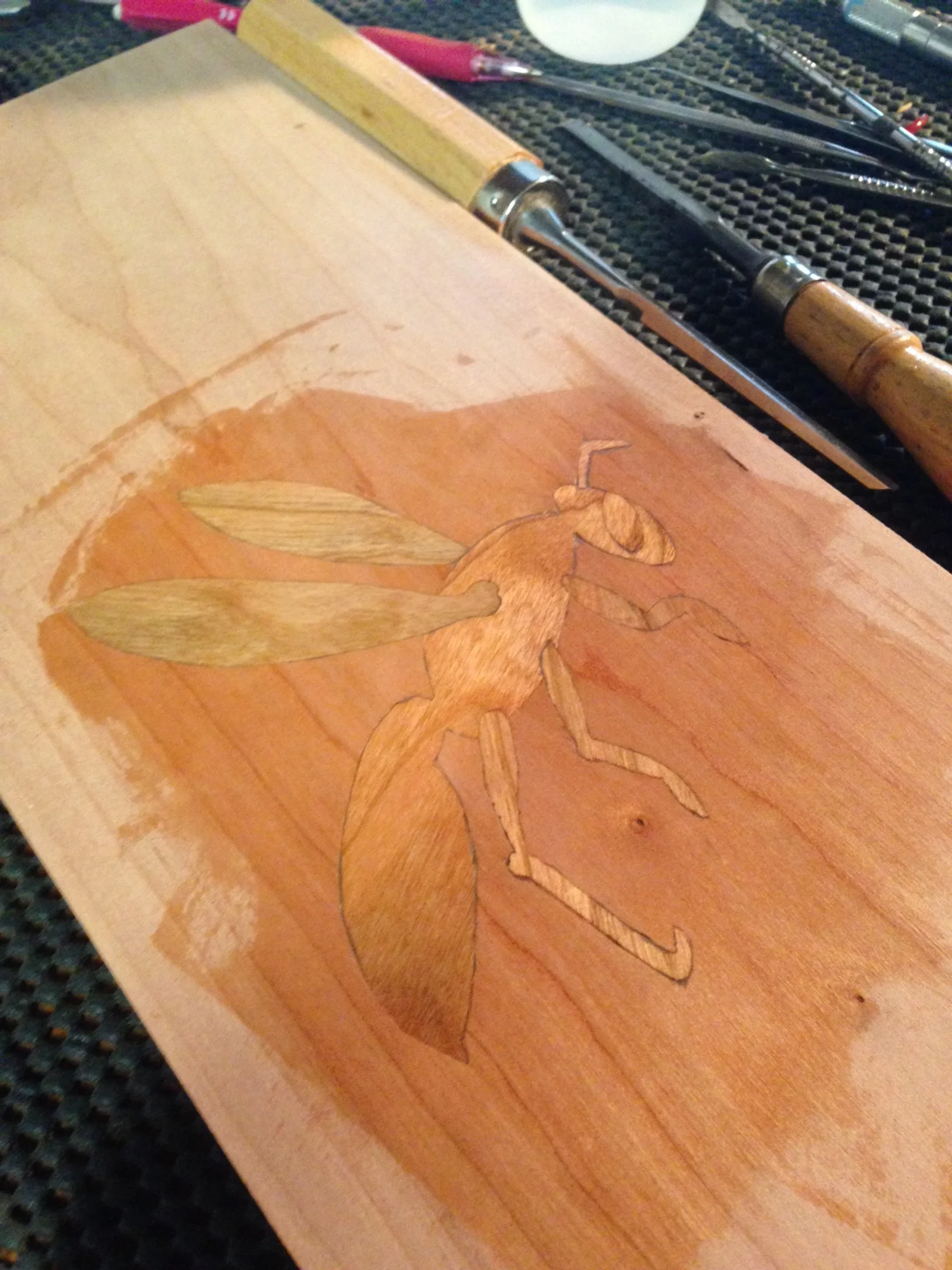 wasp inlay2.JPG