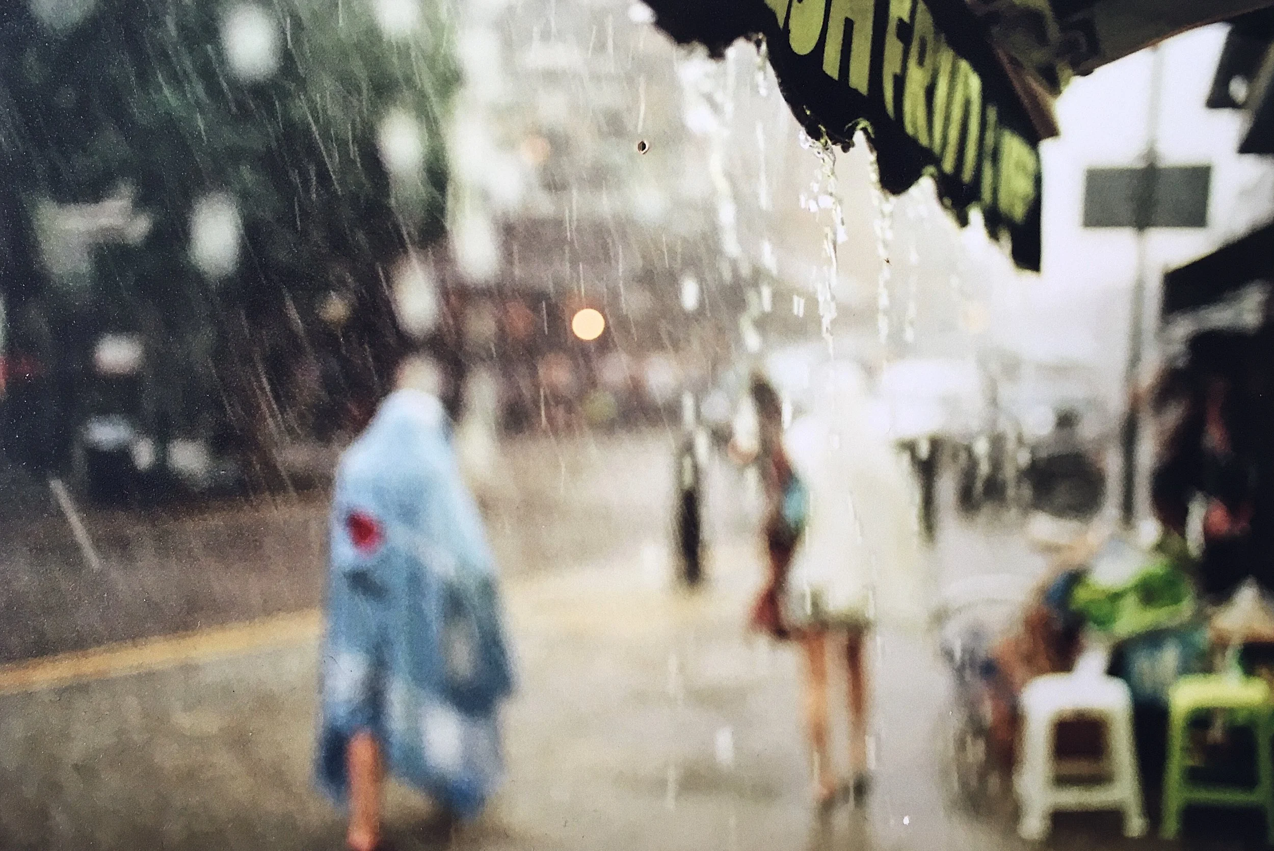  When the rain comes, they run and hide their heads /// 2012 /// 35mm 