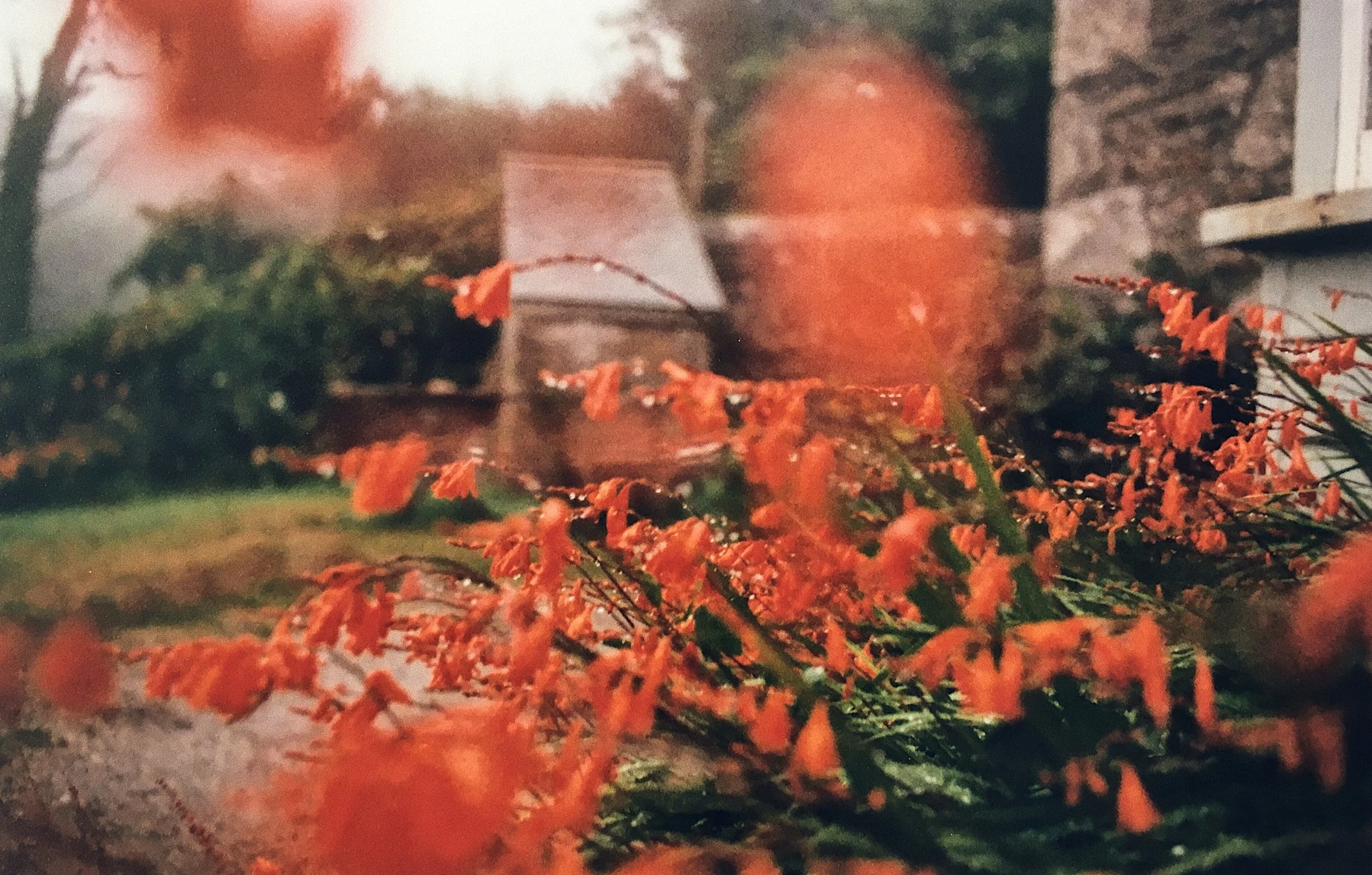  Cornwall, red after the rains /// 2015 /// 35mm 