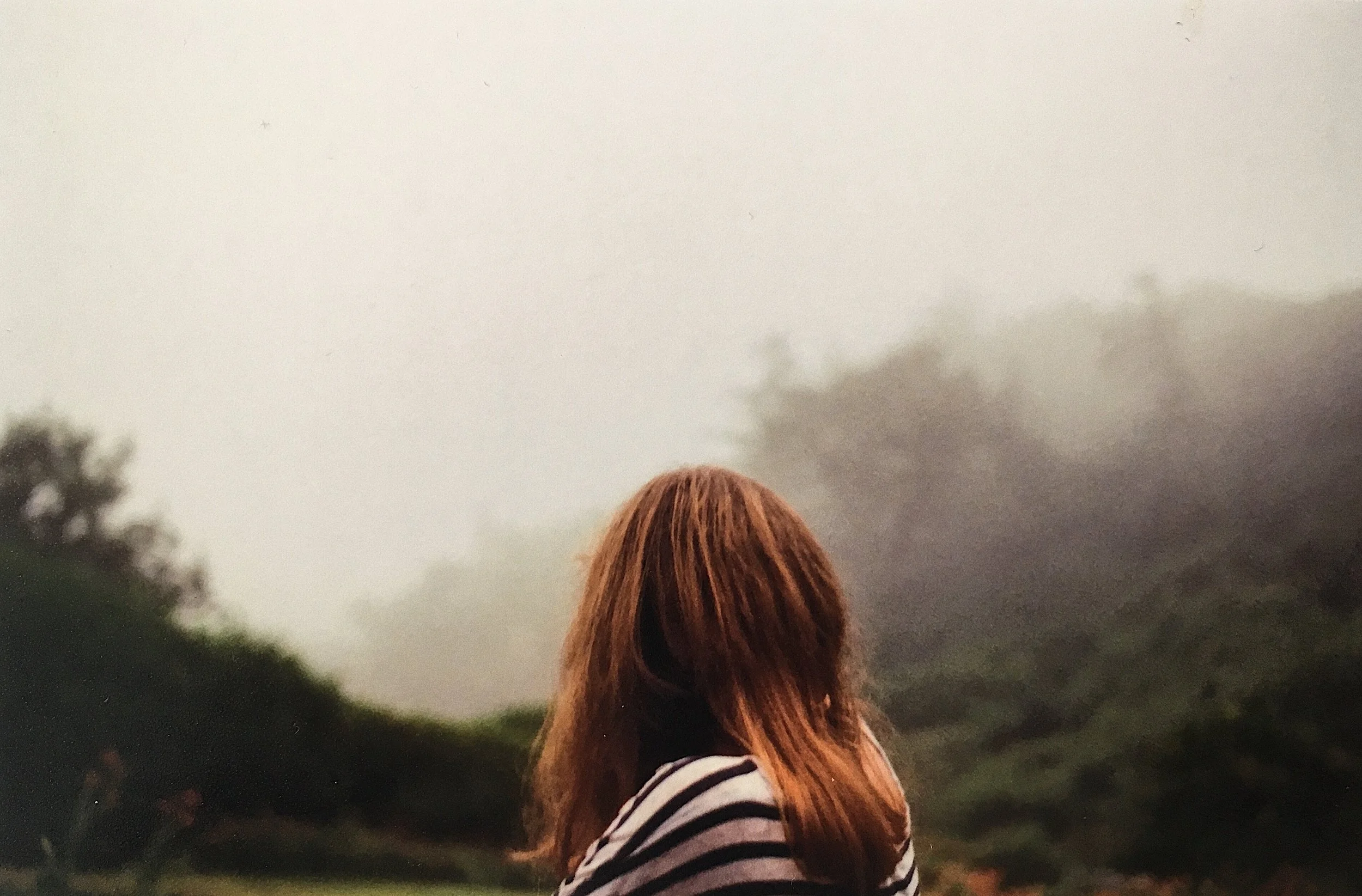  Gus looks out, mist stares back /// 2015 /// 35mm 