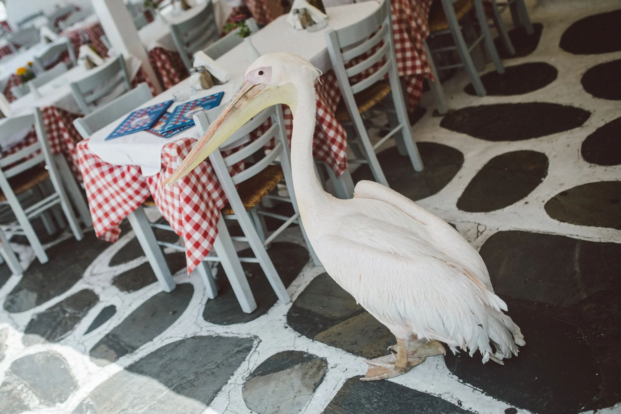 Mykonos_2016-273.jpg