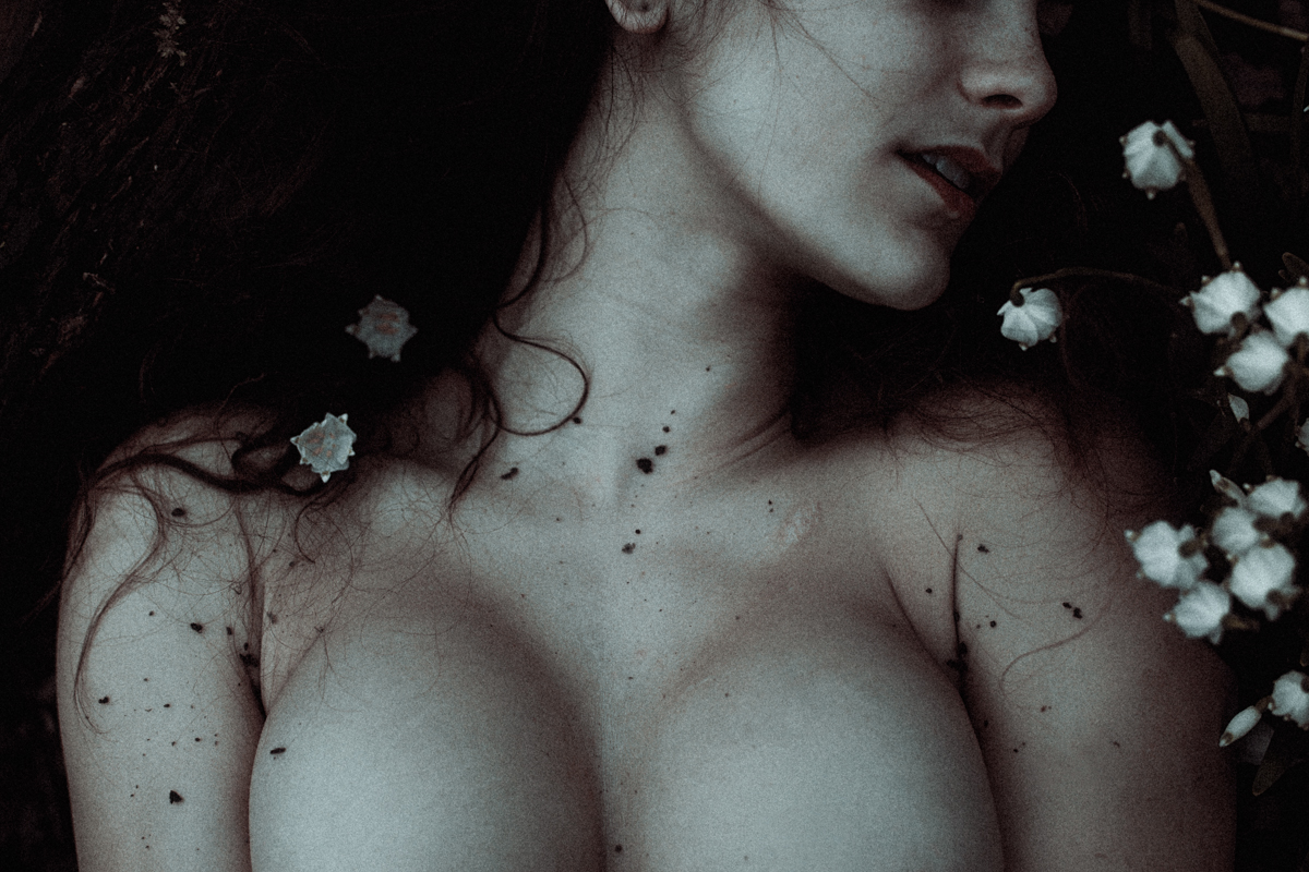 danaflower-fb-7.jpg
