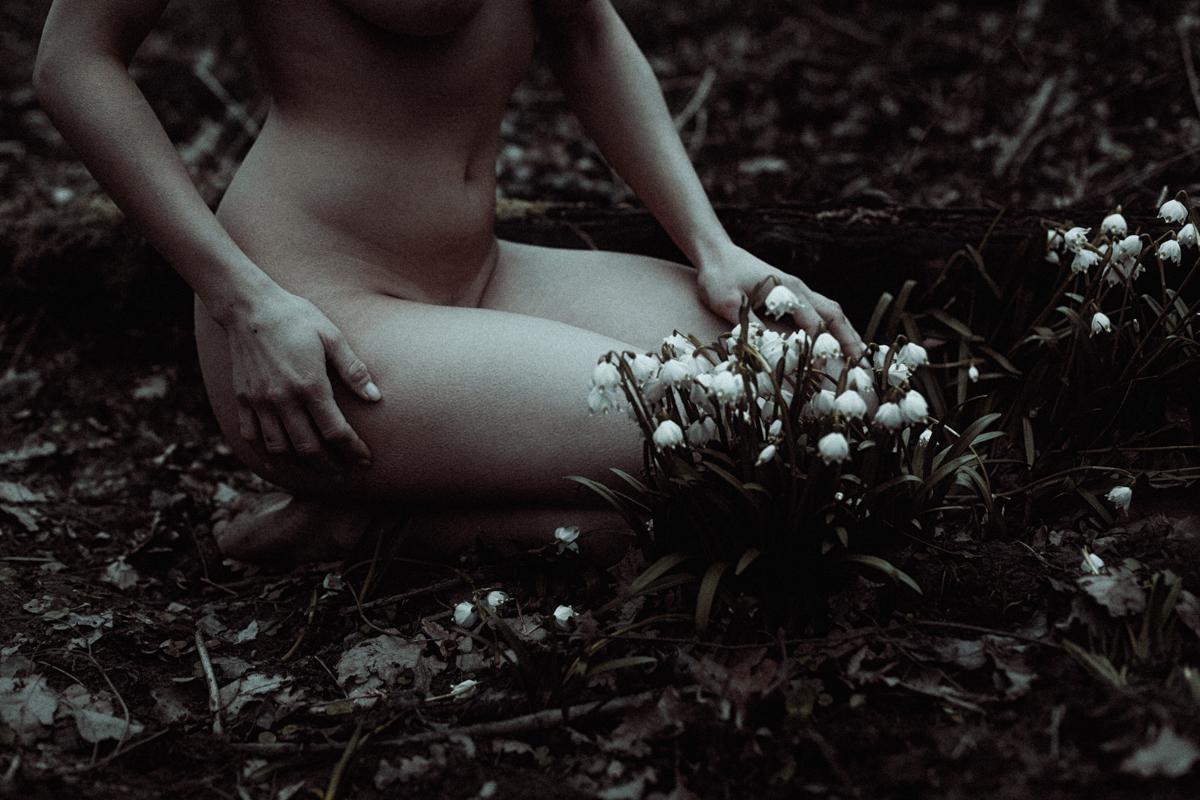 danaflower-fb-9.jpg
